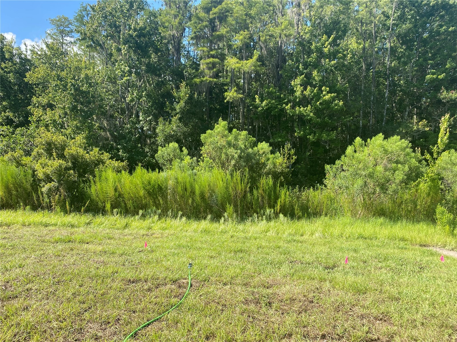 18236 Hunters Meadow Walk Land O Lakes FL 34638 TB8499539 image30