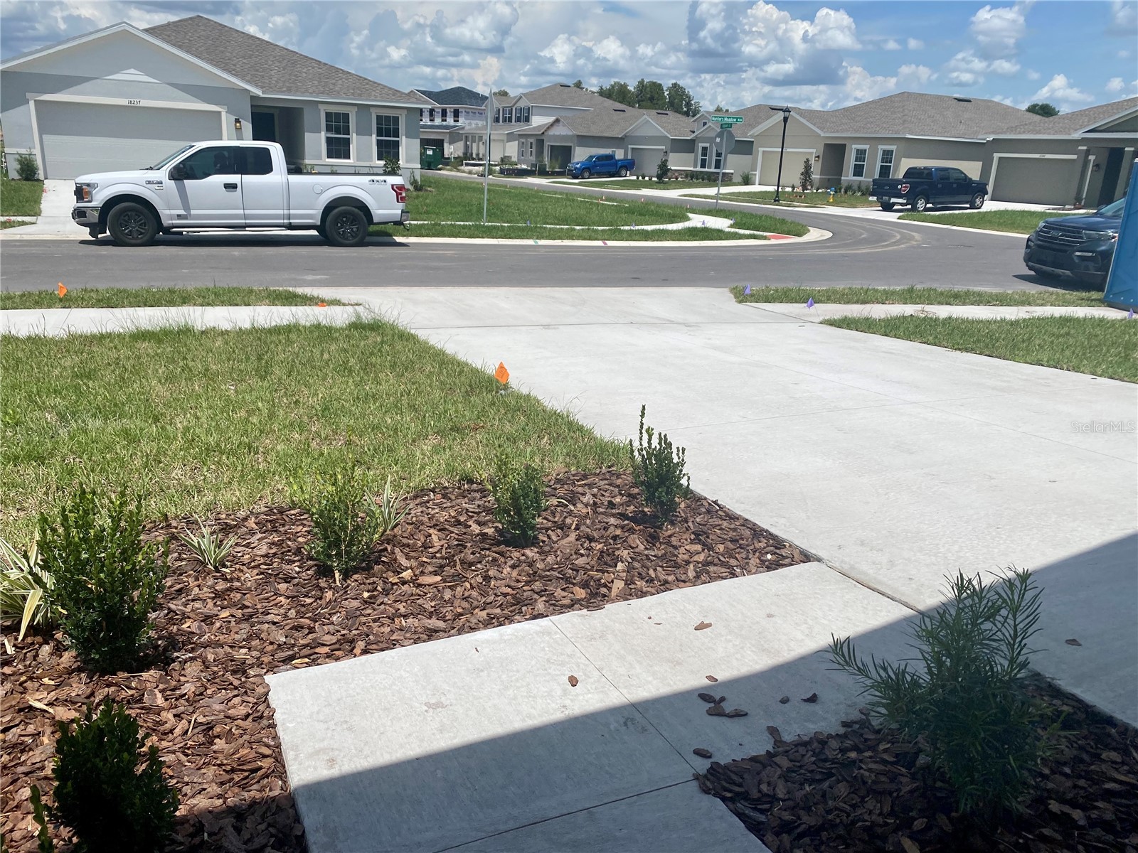 18236 Hunters Meadow Walk Land O Lakes FL 34638 TB8499539 image32