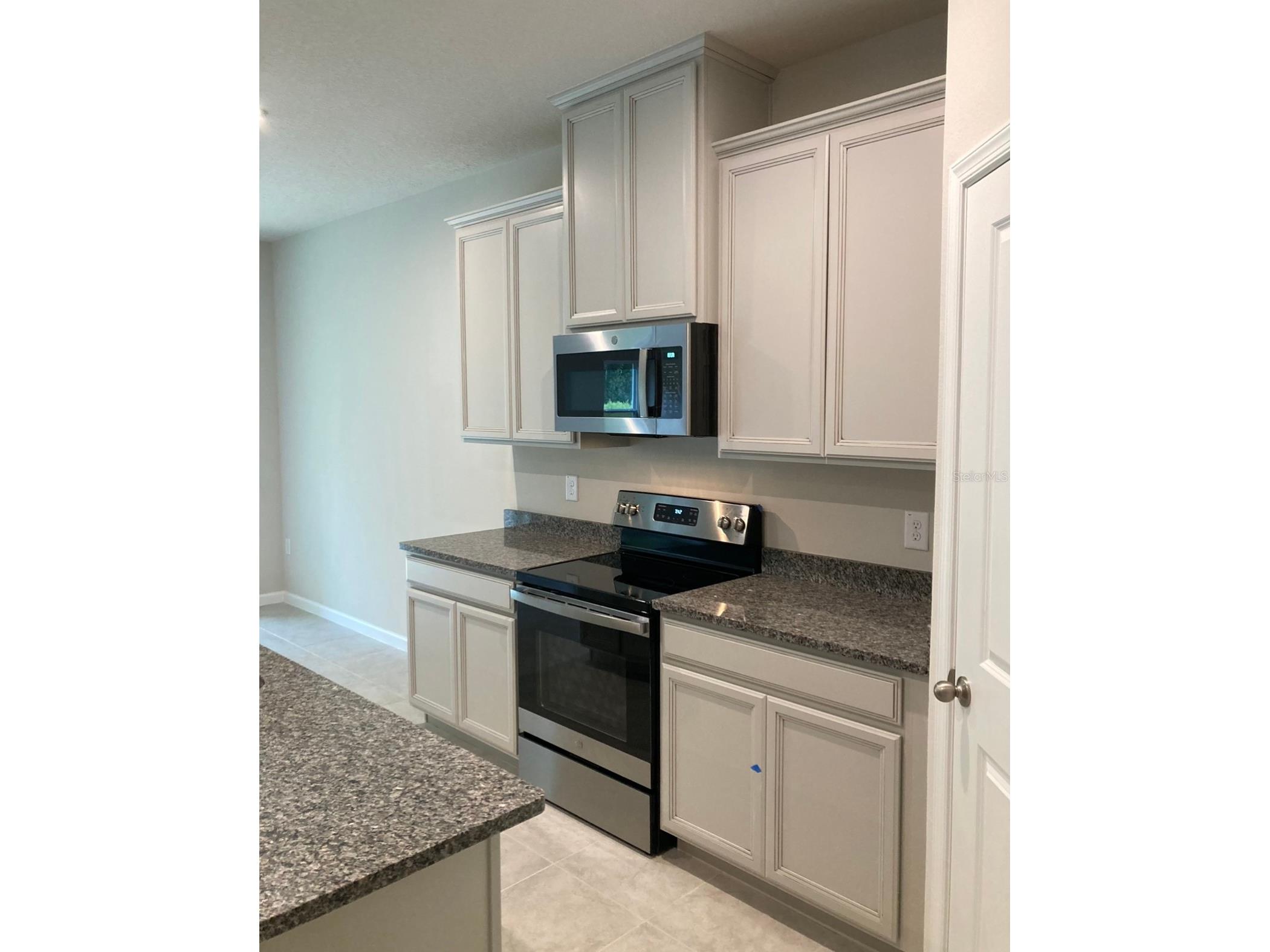 18236 Hunters Meadow Walk Land O Lakes FL 34638 TB8499539 image9