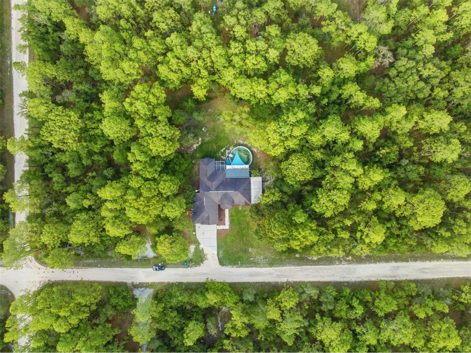 18236 Macek Road Weeki Wachee FL 34614 W7882530 image55