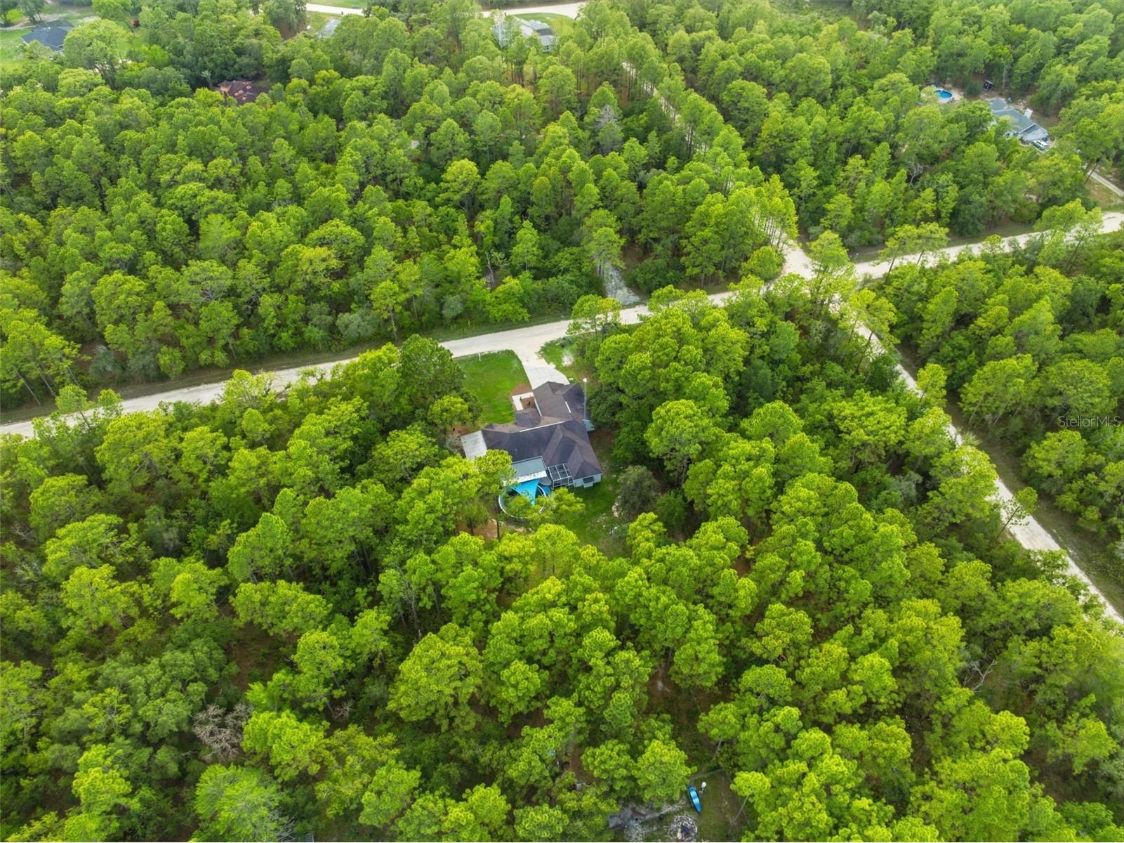 18236 Macek Road Weeki Wachee FL 34614 W7882530 image57