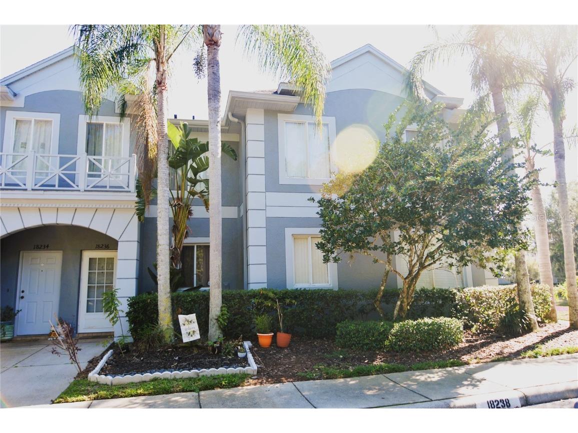 18236 Paradise Point Drive Tampa FL 33647 - COMMUNITY POND T3438981 image1