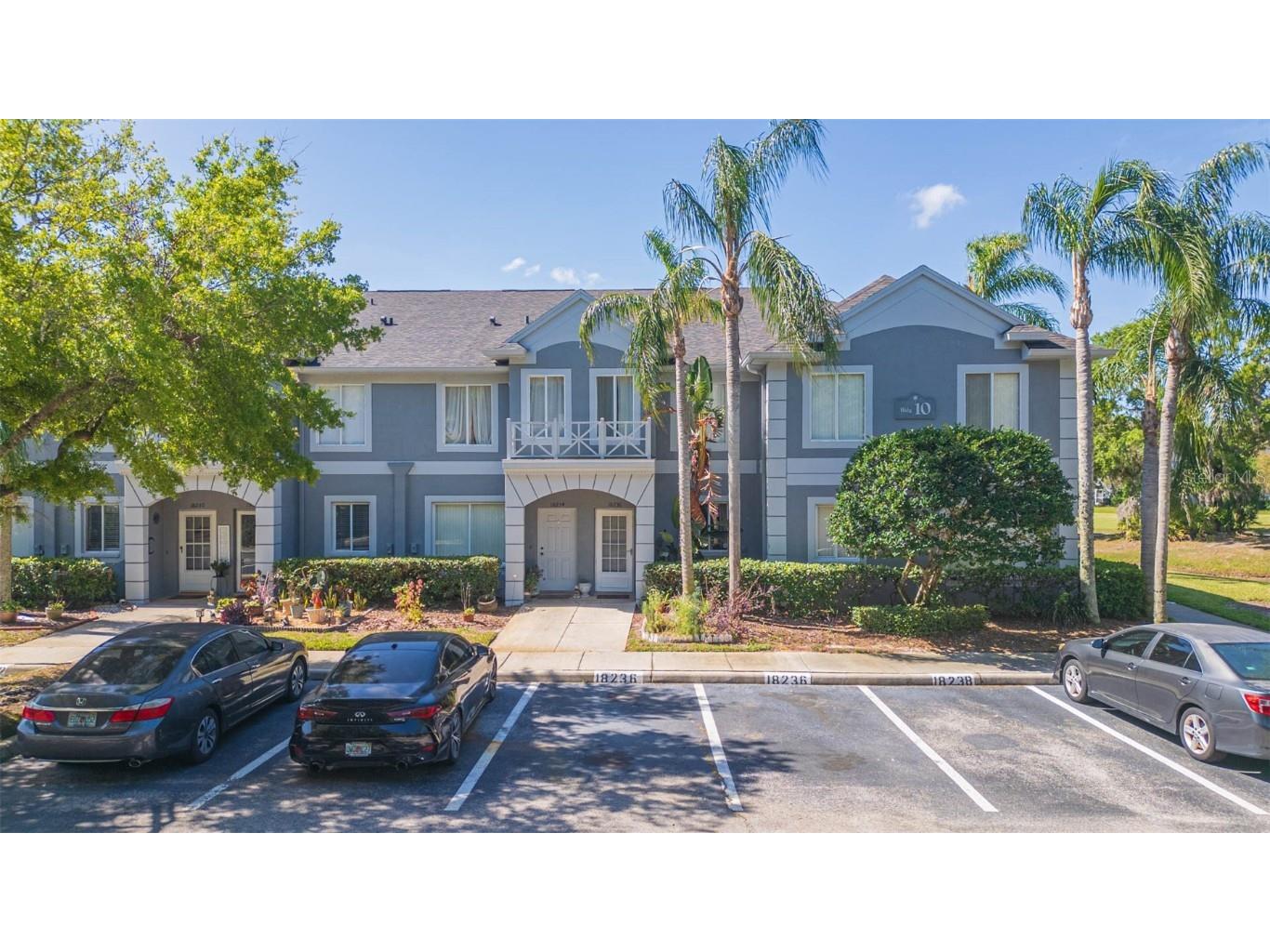 18236 Paradise Point Drive Tampa FL 33647 TB8370665 image1