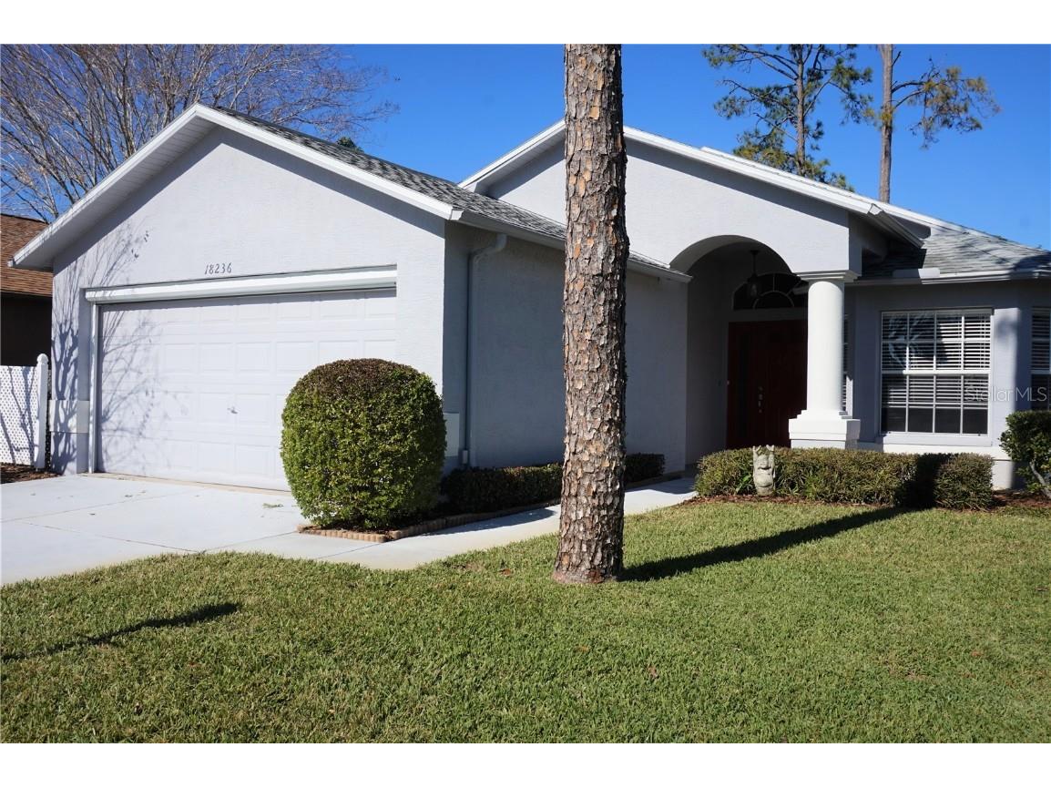 18236 Webster Grove Drive Hudson FL 34667 U8150915 image1