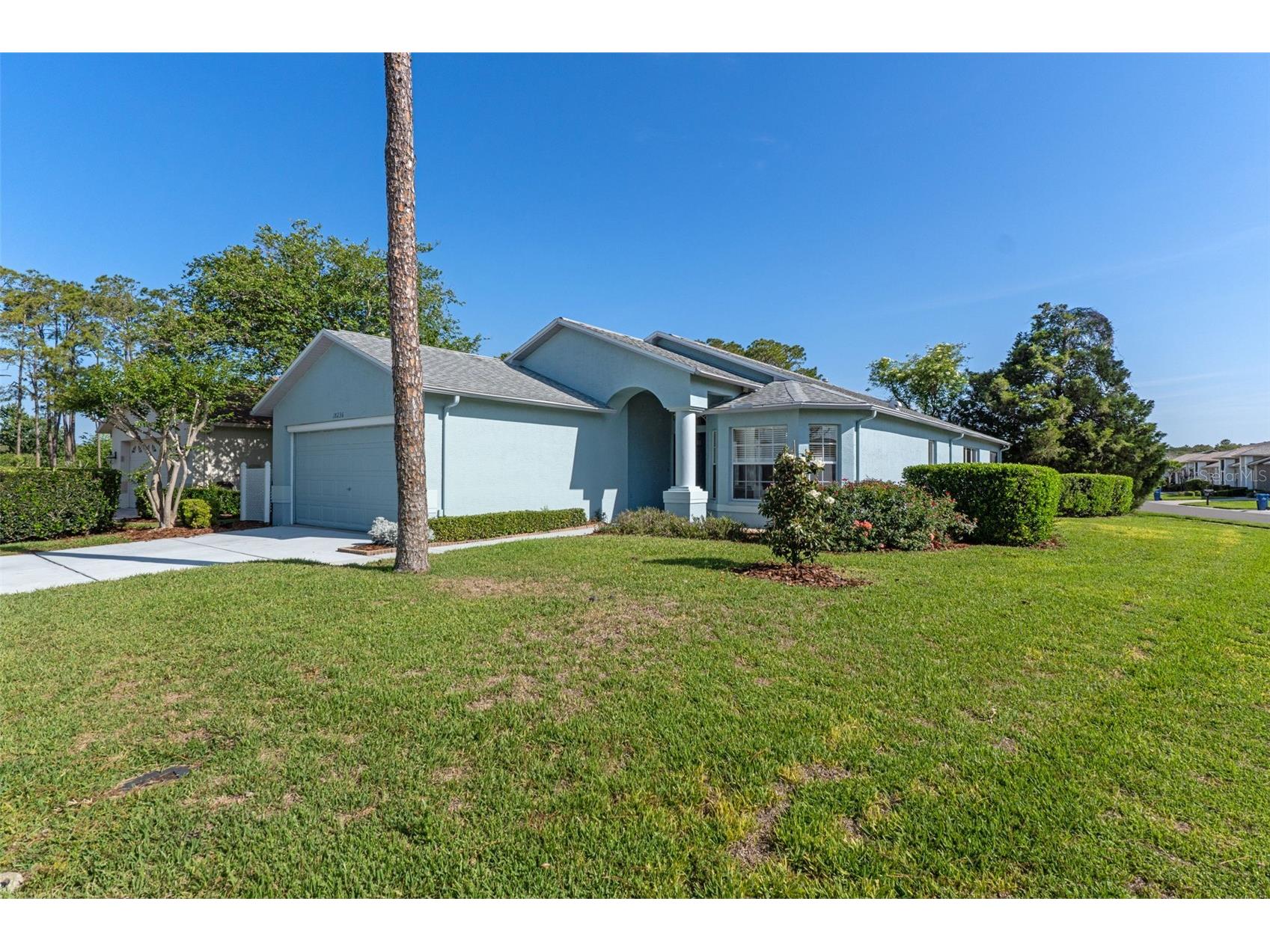 18236 Webster Grove Drive Hudson FL 34667 A4691455 image1