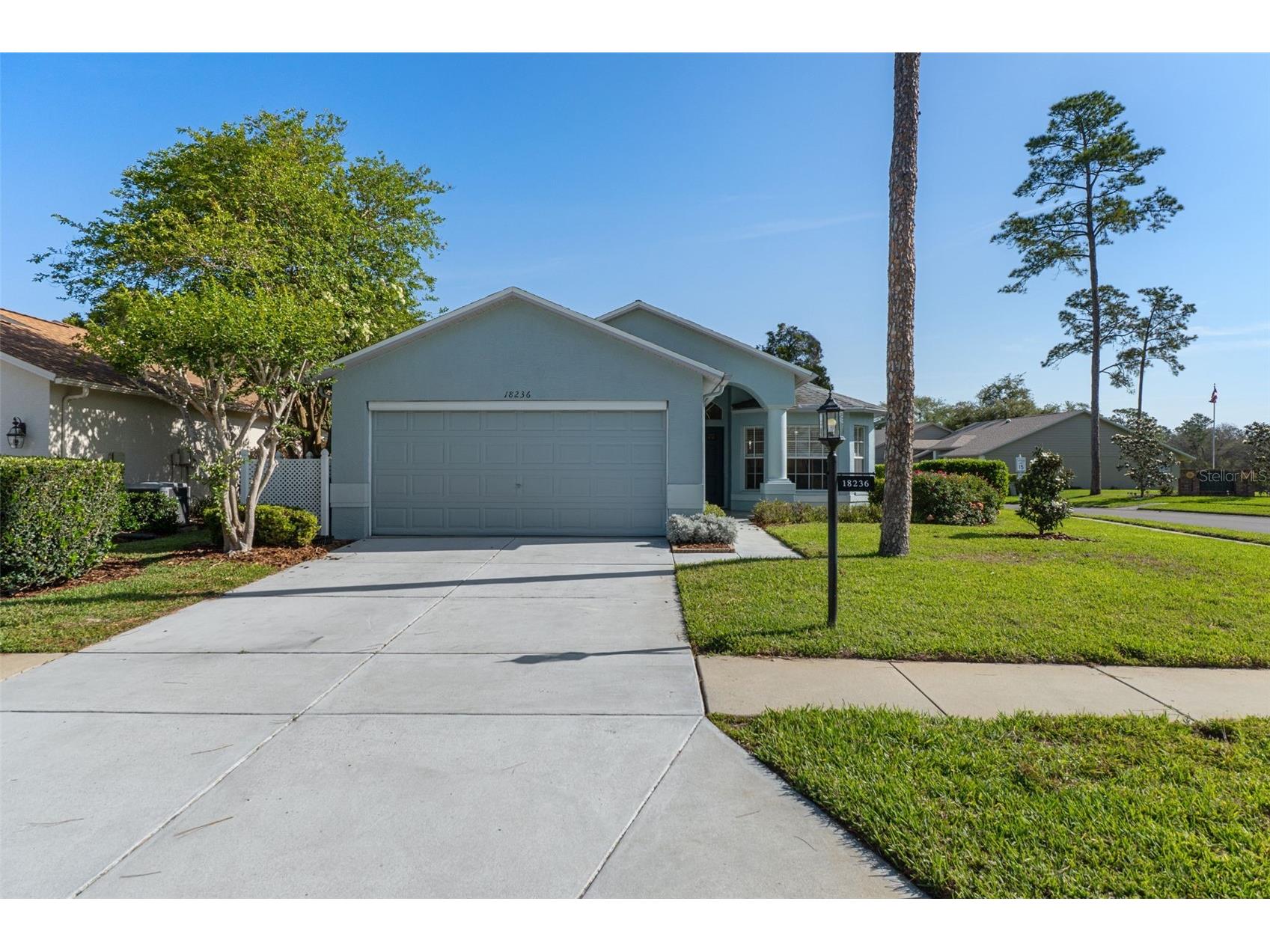 18236 Webster Grove Drive Hudson FL 34667 A4691455 image2