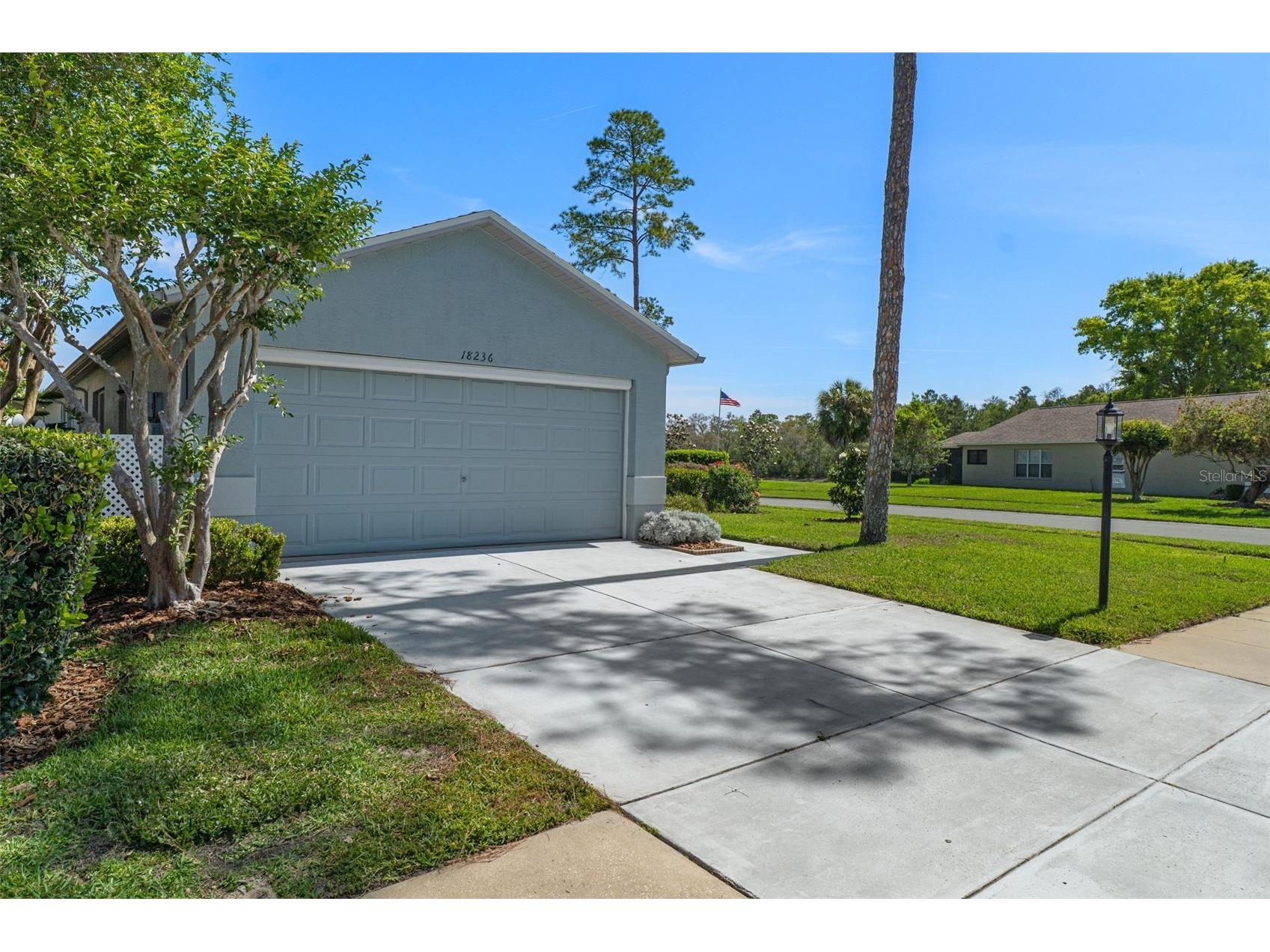 18236 Webster Grove Drive Hudson FL 34667 A4691455 image3