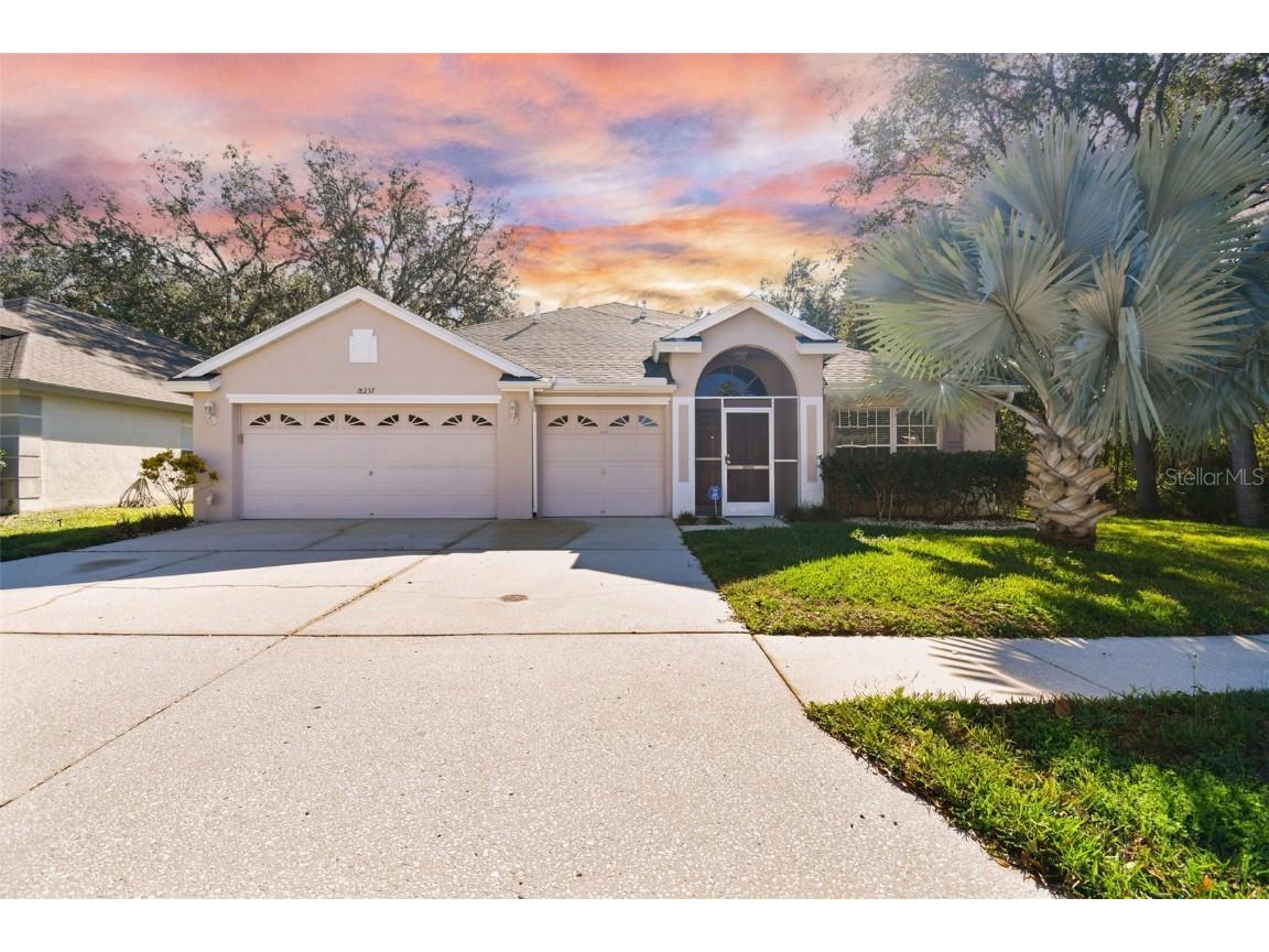 18237 Collridge Drive Tampa FL 33647 T3408985 image1