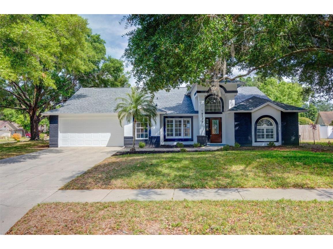 18238 Clear Lake Drive Lutz FL 33548 TB8377482 image1