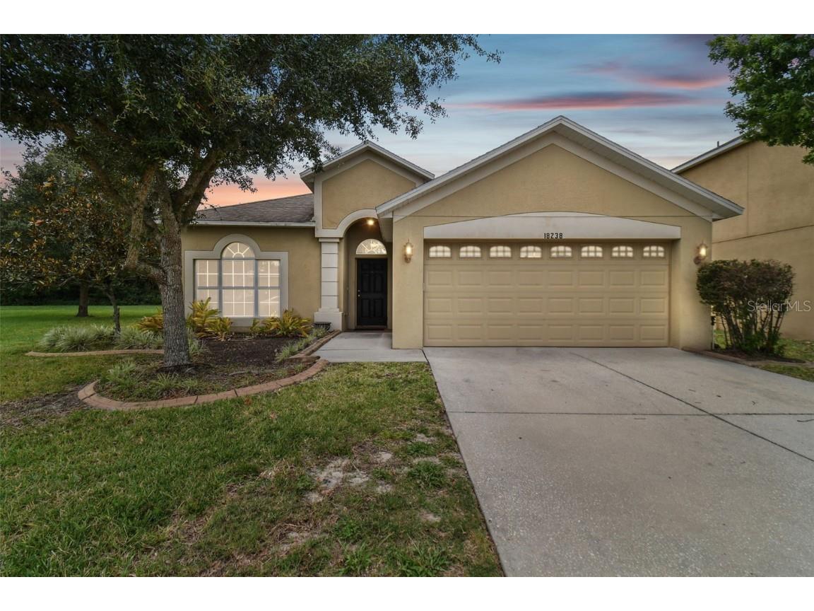 18238 Fish Loop Land O Lakes FL 34638 T3453702 image1