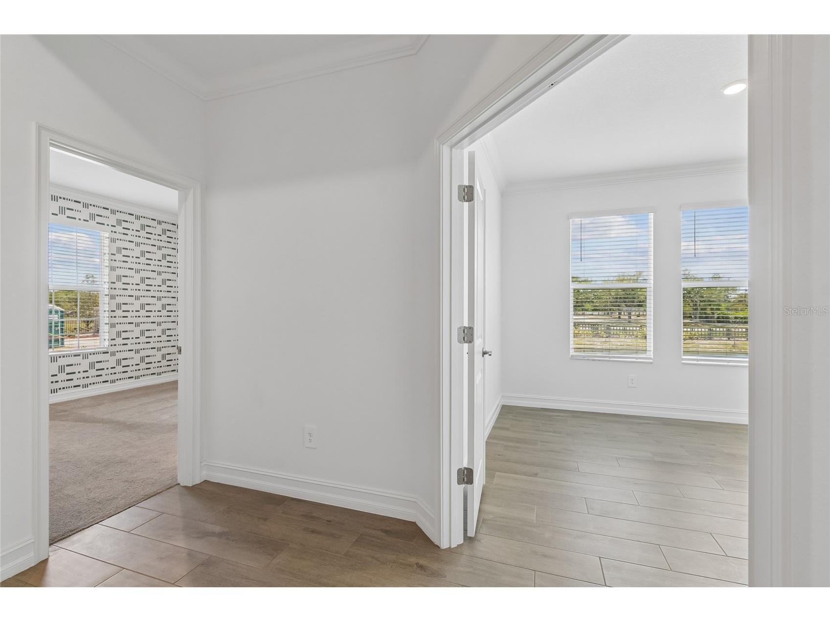 18238 Pearl View Place Lutz FL 33548 TB8501476 image23