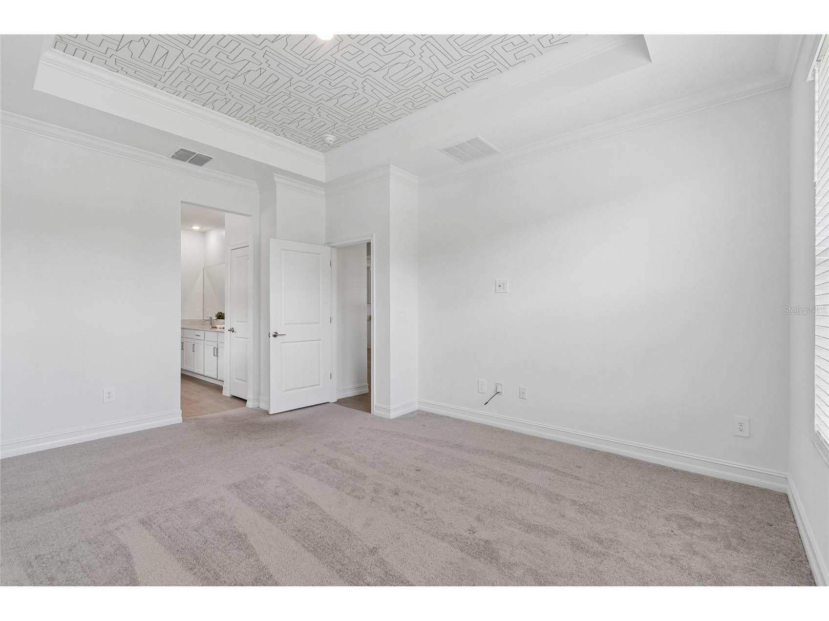 18238 Pearl View Place Lutz FL 33548 TB8501476 image35