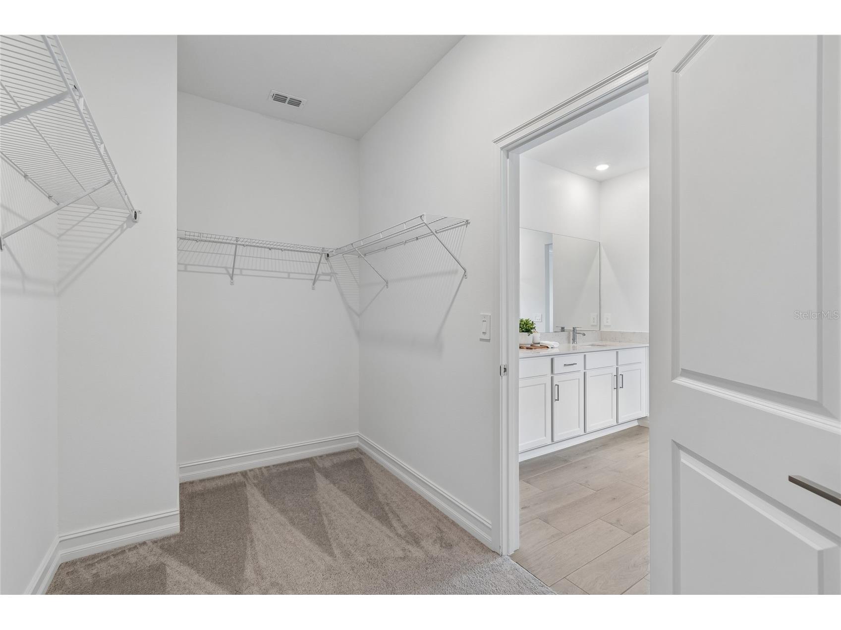 18238 Pearl View Place Lutz FL 33548 TB8501476 image40