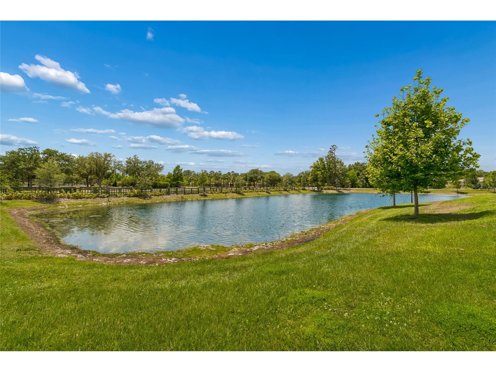 18238 Pearl View Place Lutz FL 33548 TB8501476 image45