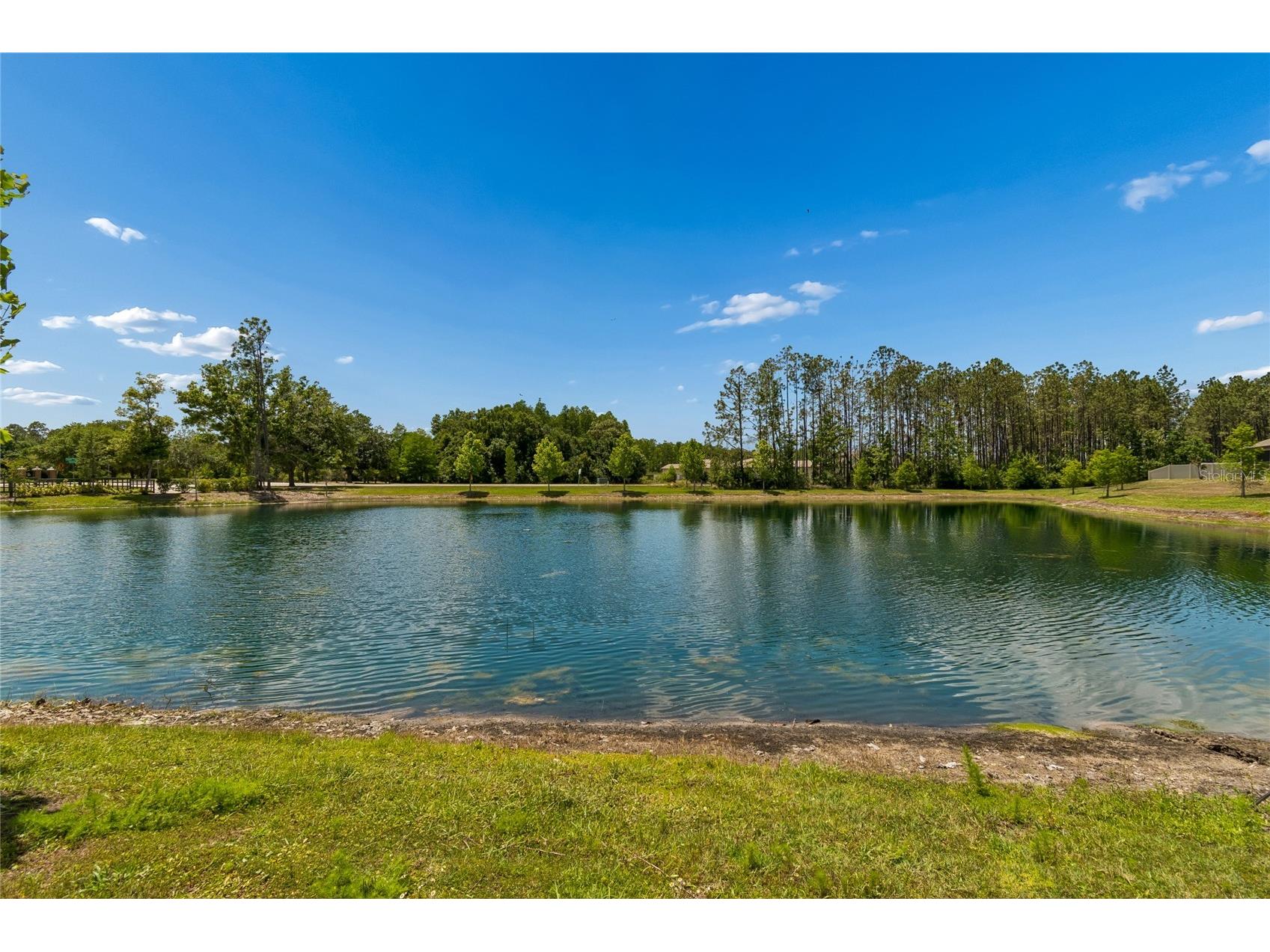 18238 Pearl View Place Lutz FL 33548 TB8501476 image46