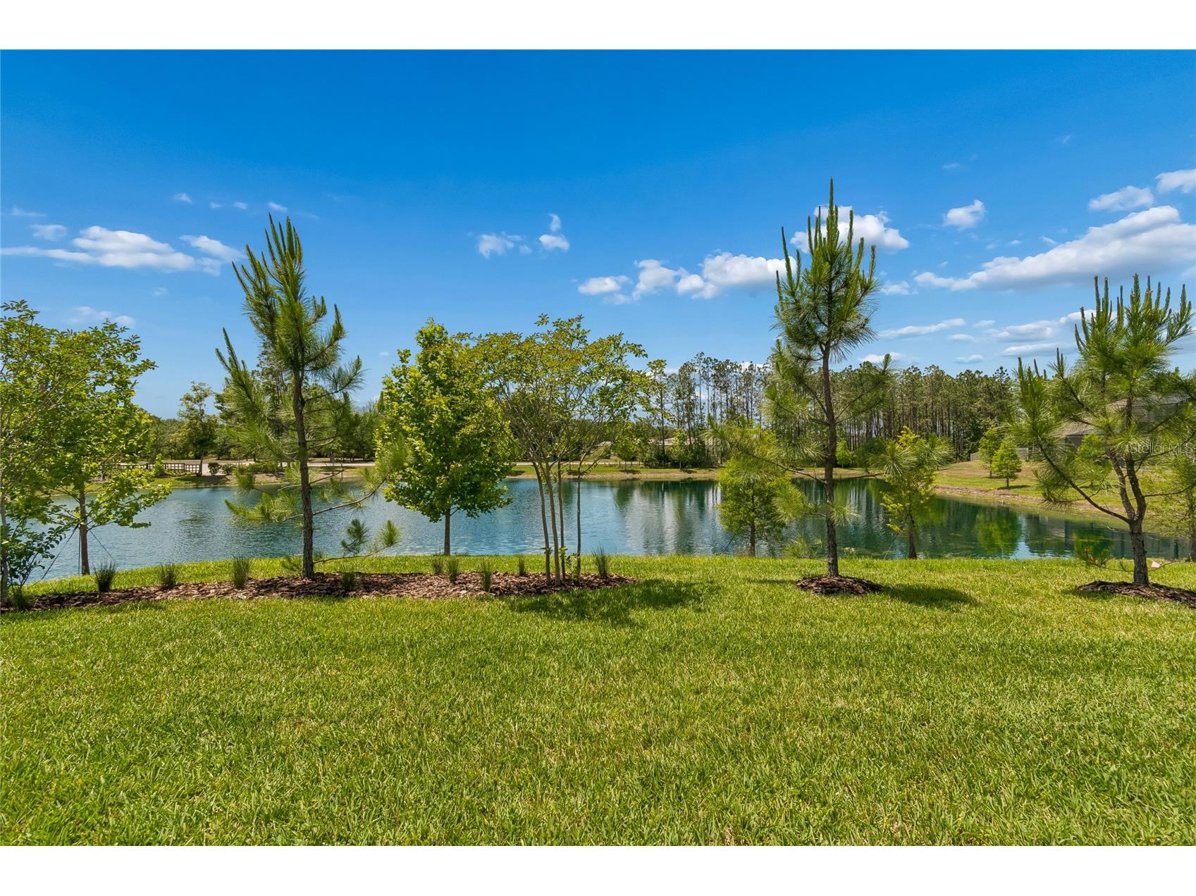 18238 Pearl View Place Lutz FL 33548 TB8501476 image48