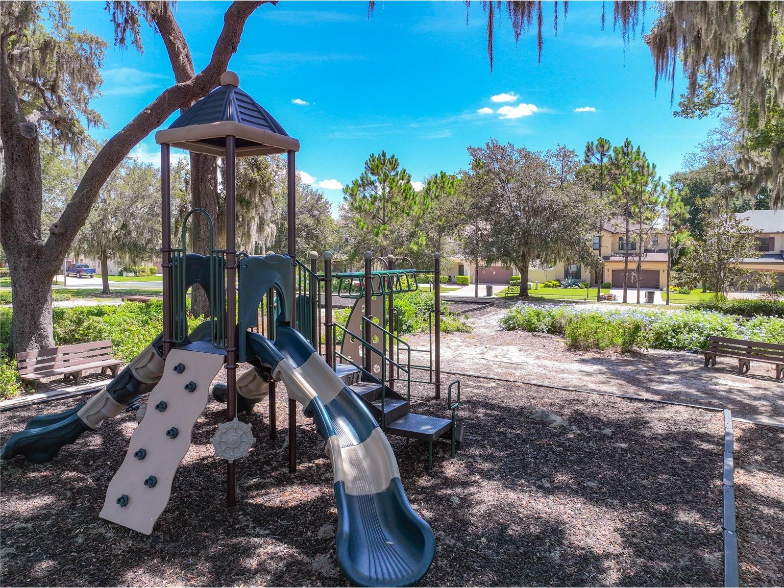 1824 Arden Oaks Drive Ocoee FL 34761 O6427342 image43