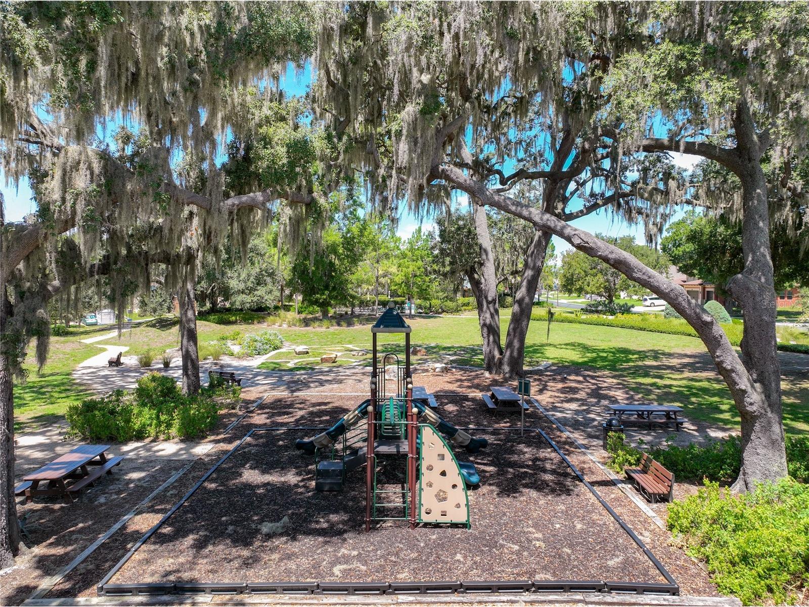 1824 Arden Oaks Drive Ocoee FL 34761 O6427342 image44