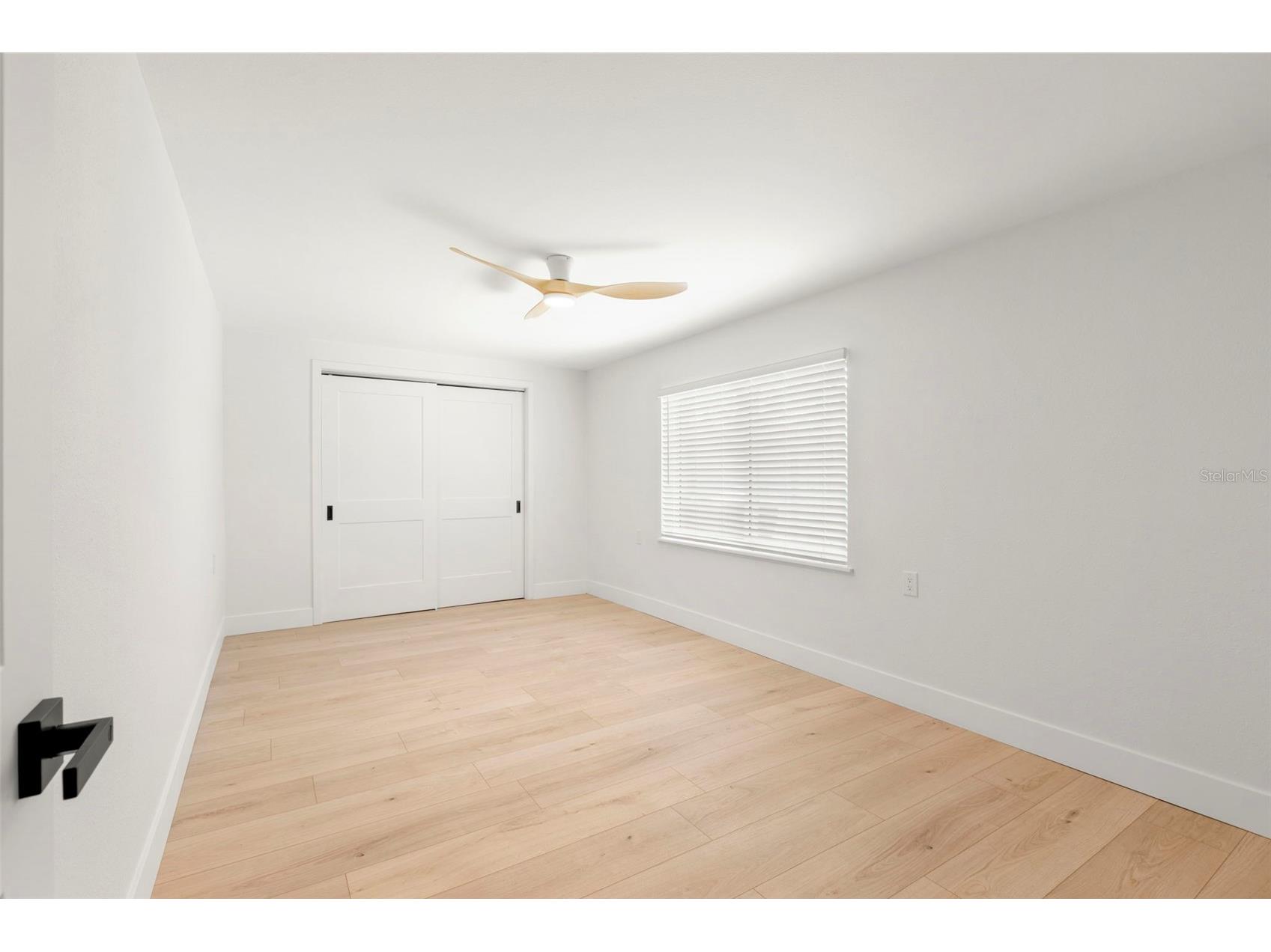 1824 Douglas Avenue Dunedin FL 34698 TB8503351 image24
