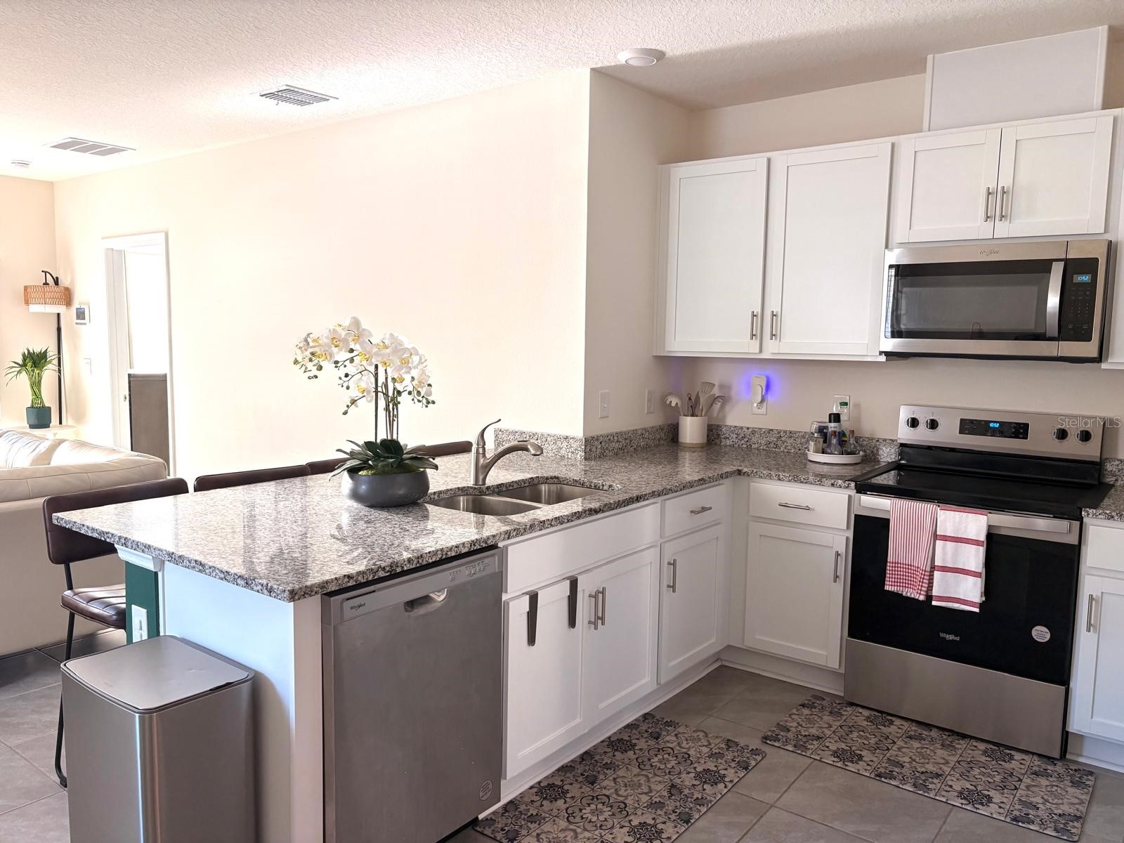1824 Echo Valley Street Kissimmee FL 34744 O6377537 image8