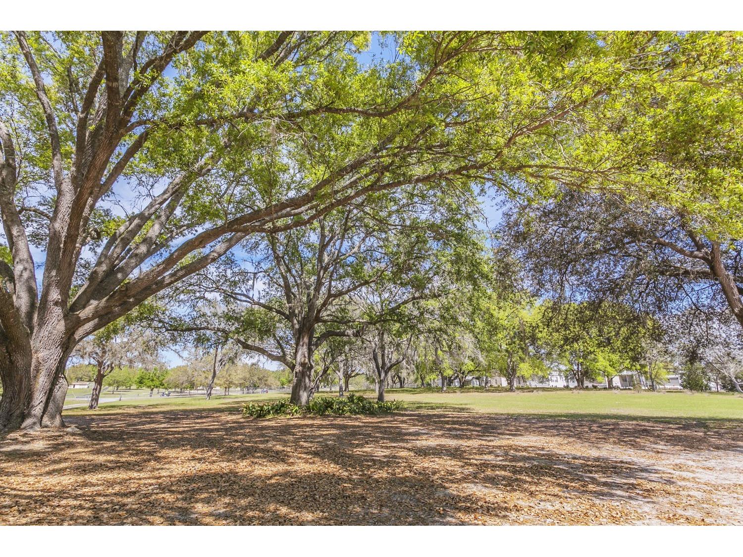1824 Marion County Road Weirsdale FL 32195 G5109845 image14