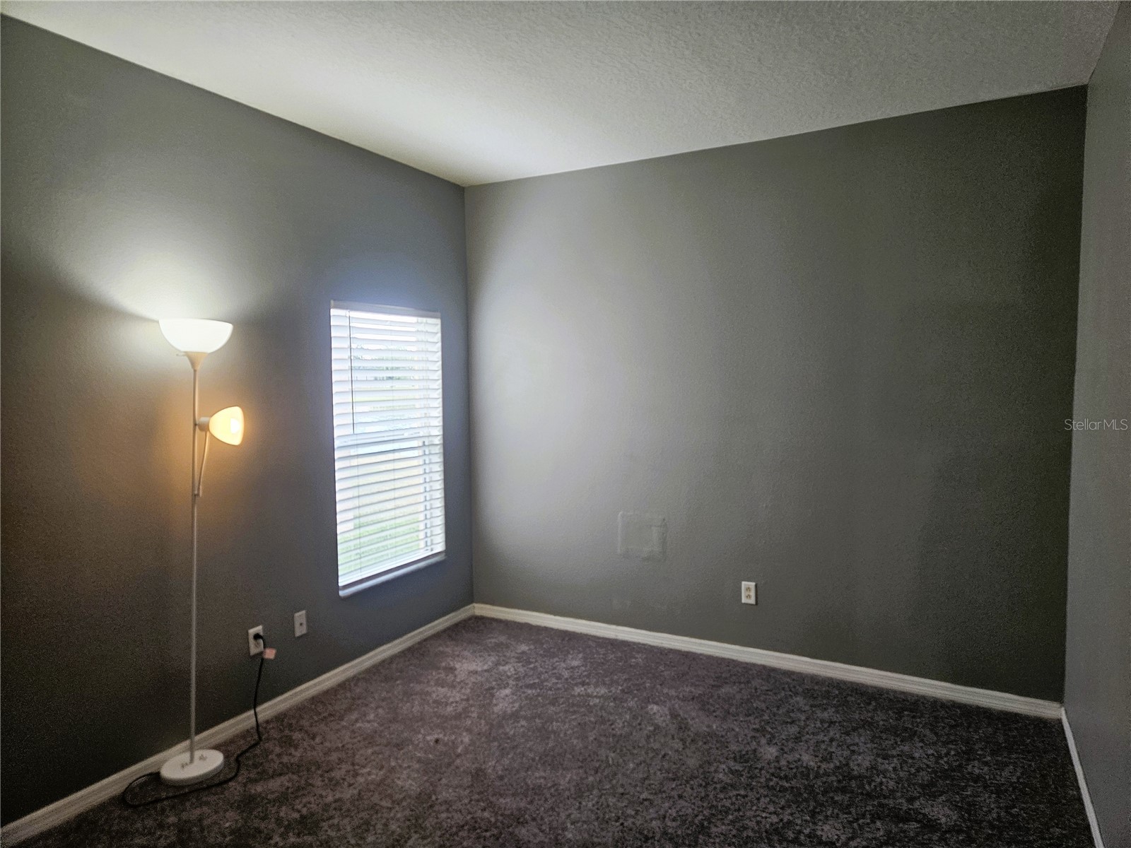 1824 Mira Lago Circle Ruskin FL 33570 TB8509776 image28