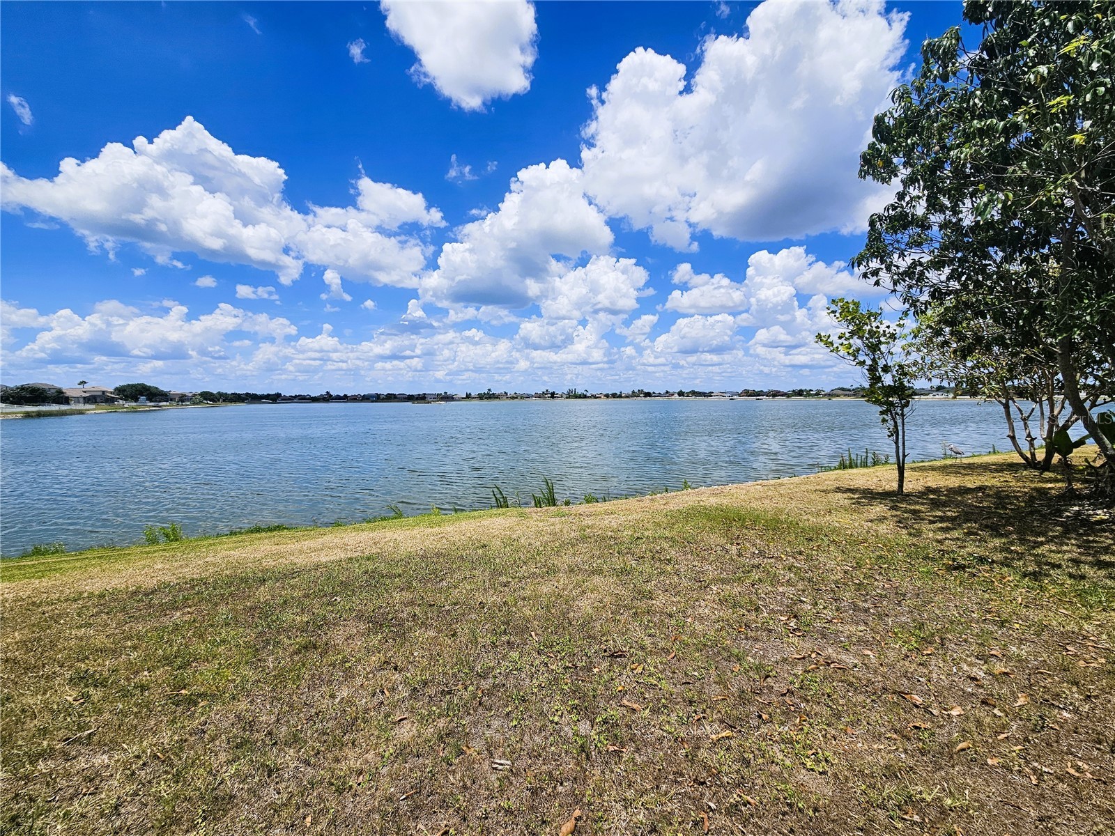 1824 Mira Lago Circle Ruskin FL 33570 TB8509776 image38