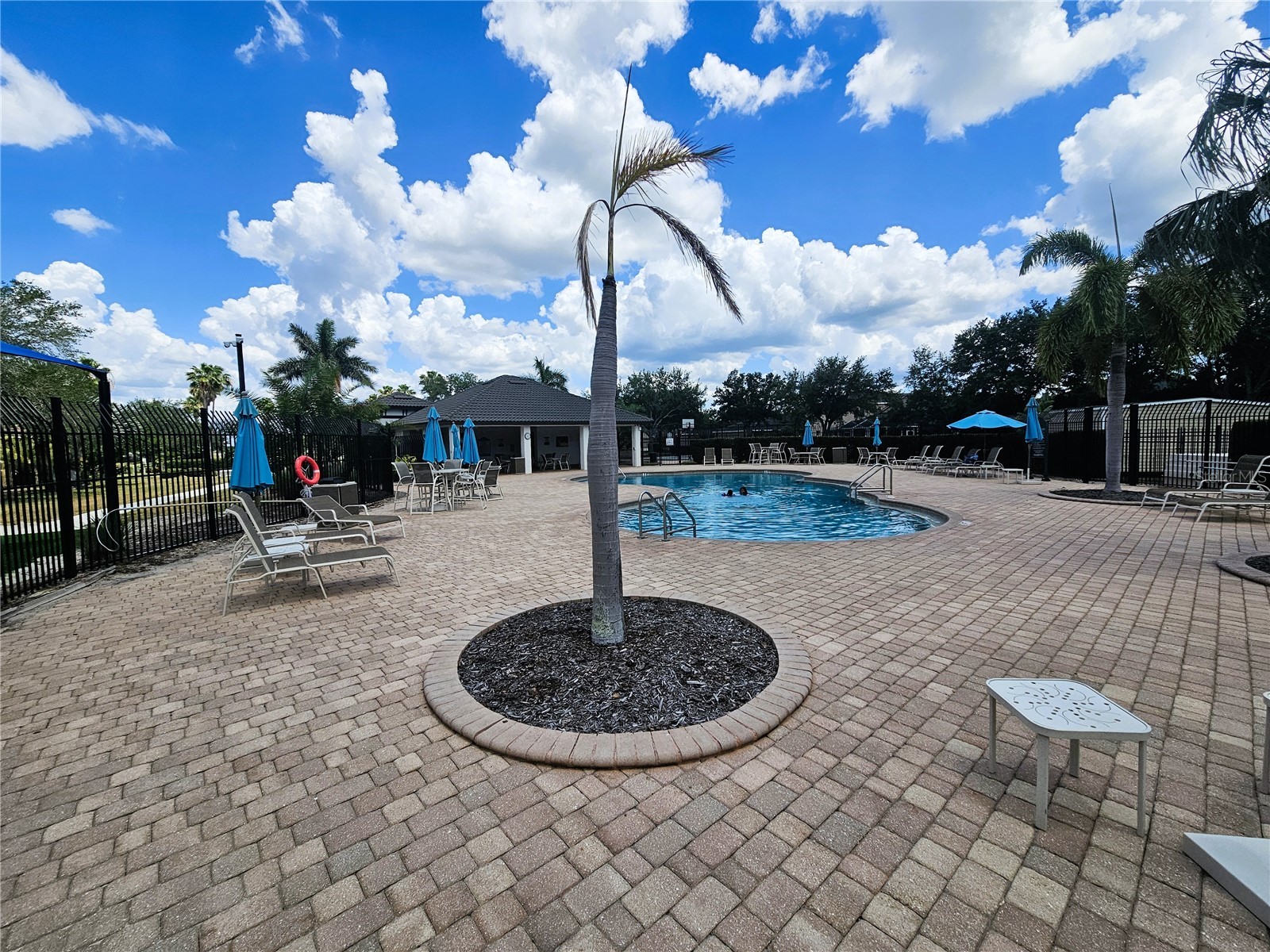 1824 Mira Lago Circle Ruskin FL 33570 TB8509776 image42