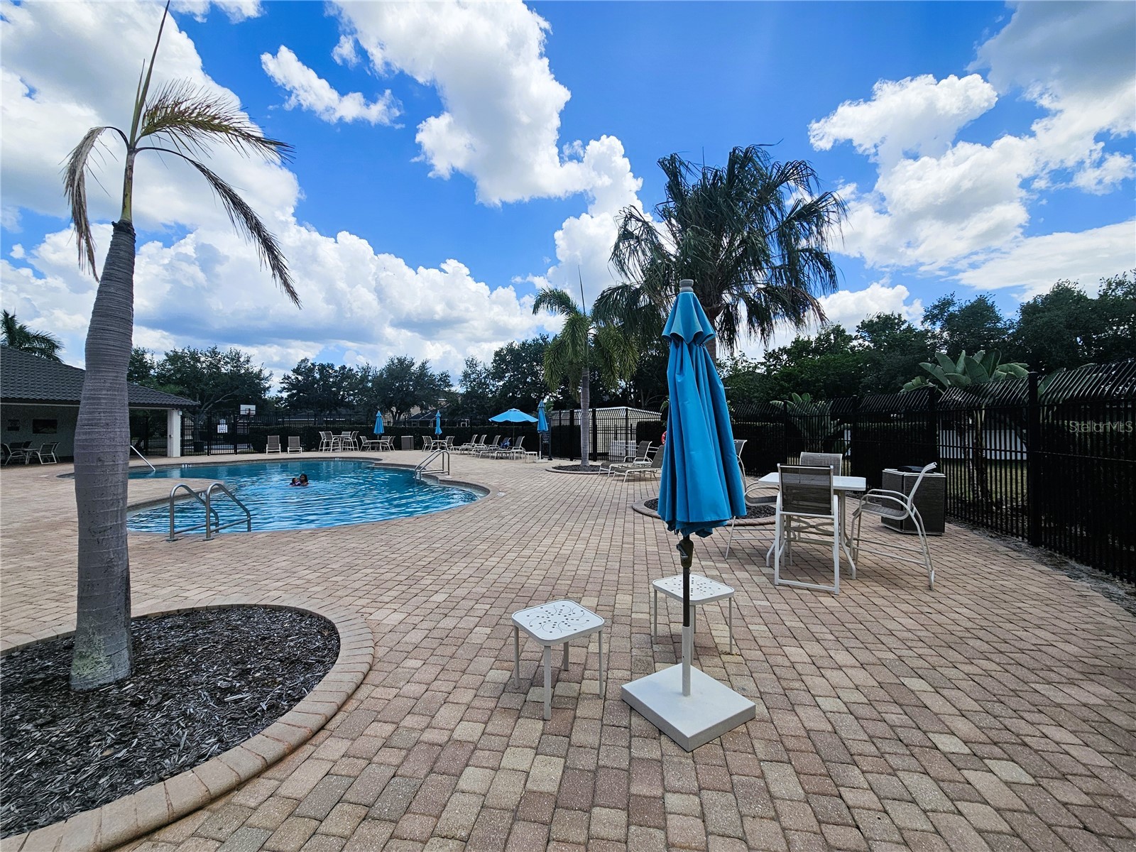 1824 Mira Lago Circle Ruskin FL 33570 TB8509776 image43