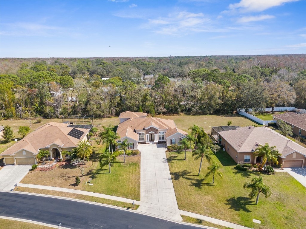 1824 Mountain Ash Way New Port Richey FL 34655 W7872482 image1