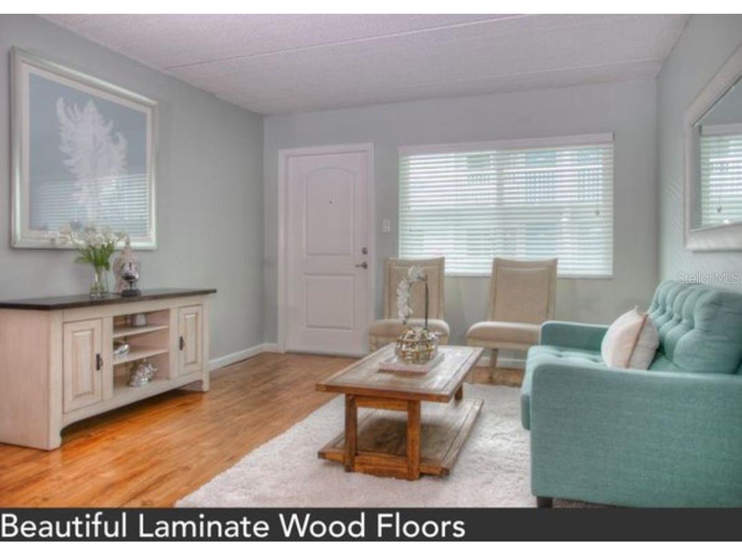 1824 Shore Drive S #201 South Pasadena FL 33707 TB8417795 image3