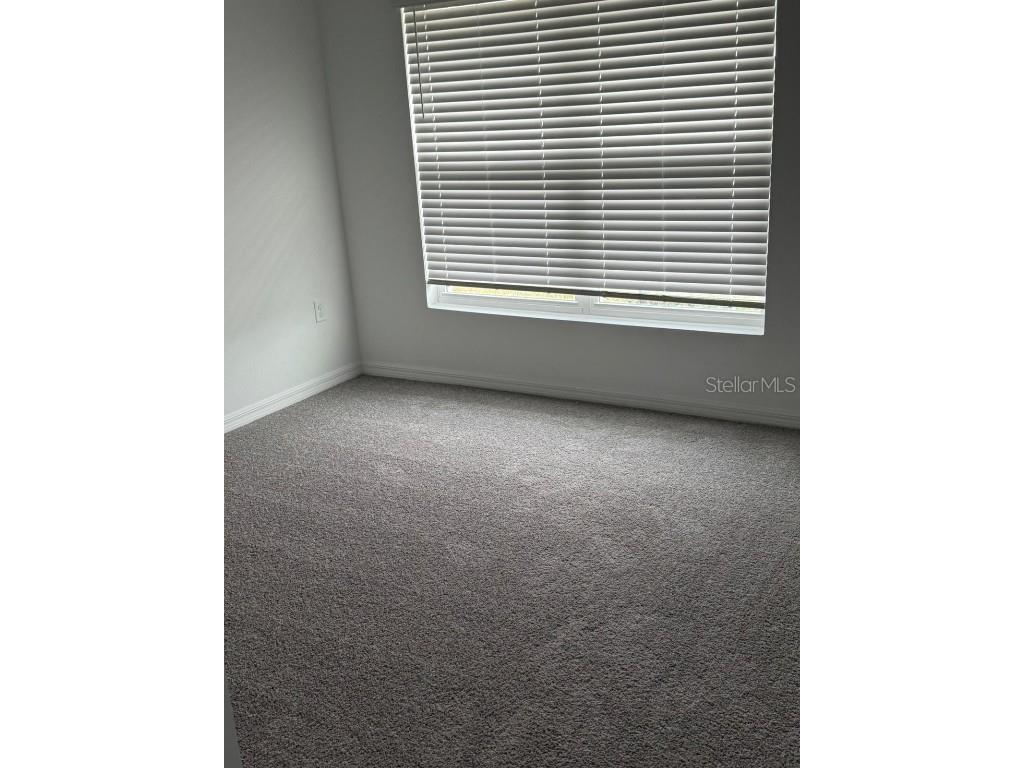 1824 Tahitian Sunrise Drive Plant City FL 33565 TB8456922 image10