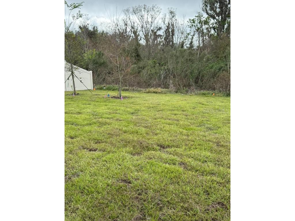 1824 Tahitian Sunrise Drive Plant City FL 33565 TB8456922 image13