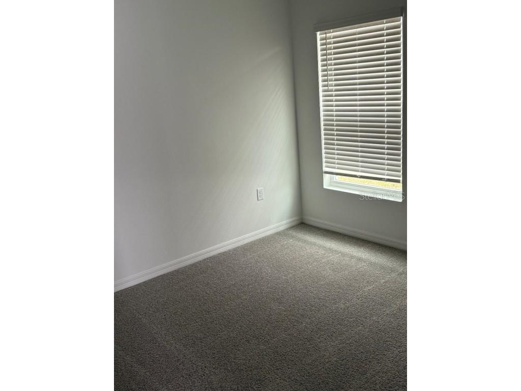 1824 Tahitian Sunrise Drive Plant City FL 33565 TB8456922 image5