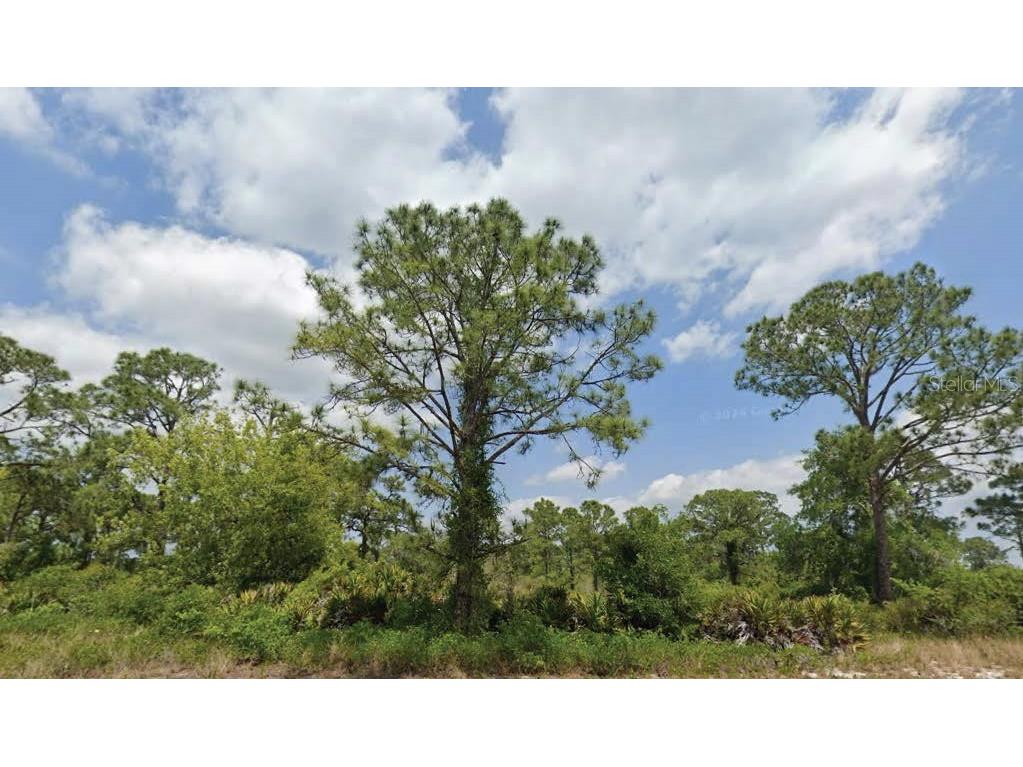 1824 Washington Boulevard NW Lake Placid FL 33852 O6311345 image1