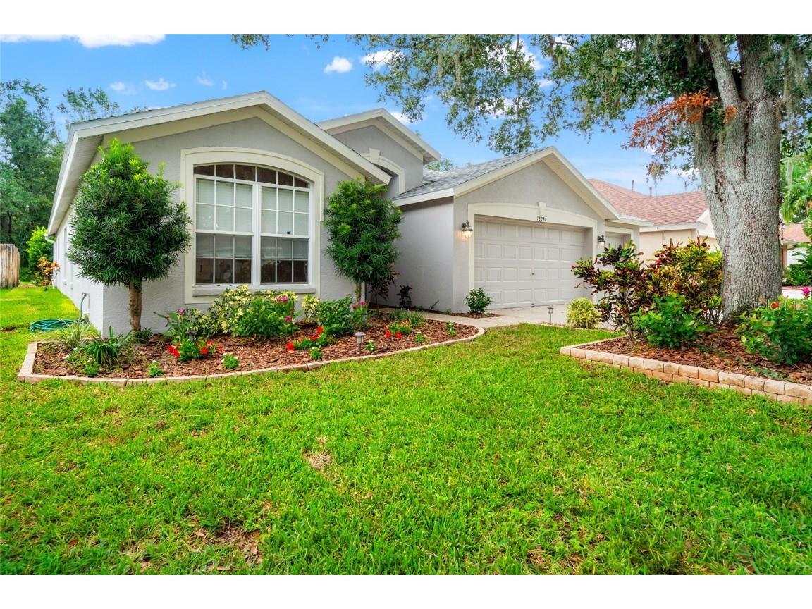 18240 Collridge Drive Tampa FL 33647 TB8403785 image1