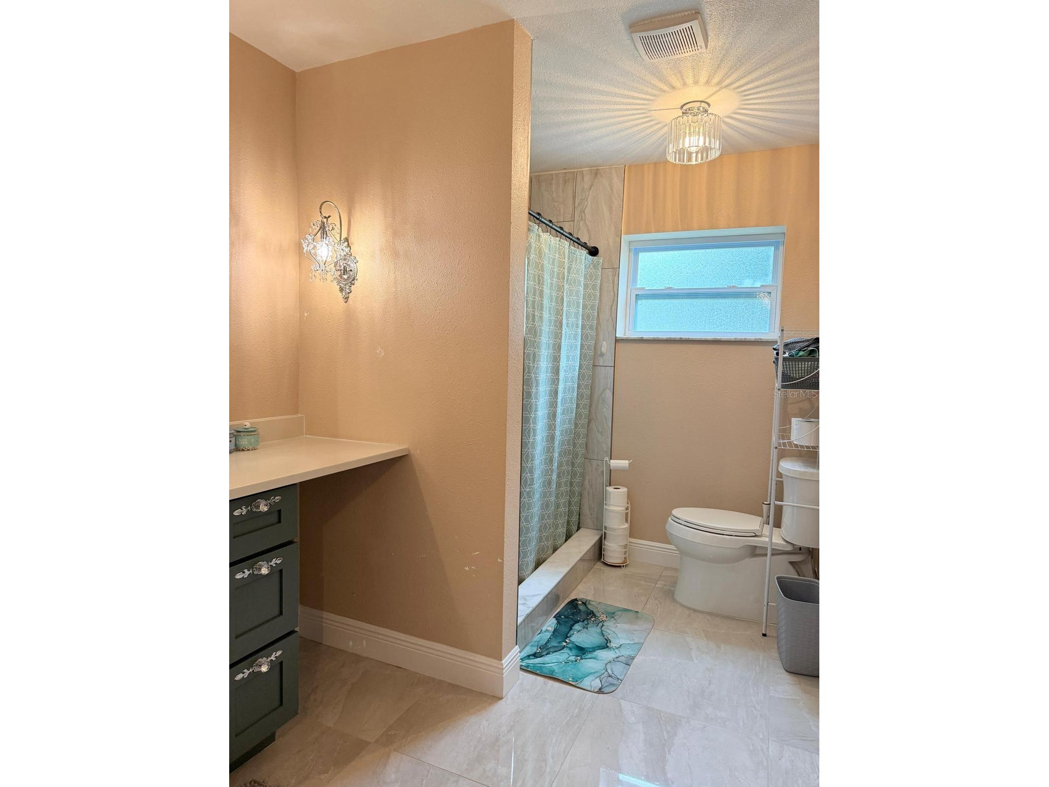 18240 Mount Olive Drive Dade City FL 33523 S5145767 image12