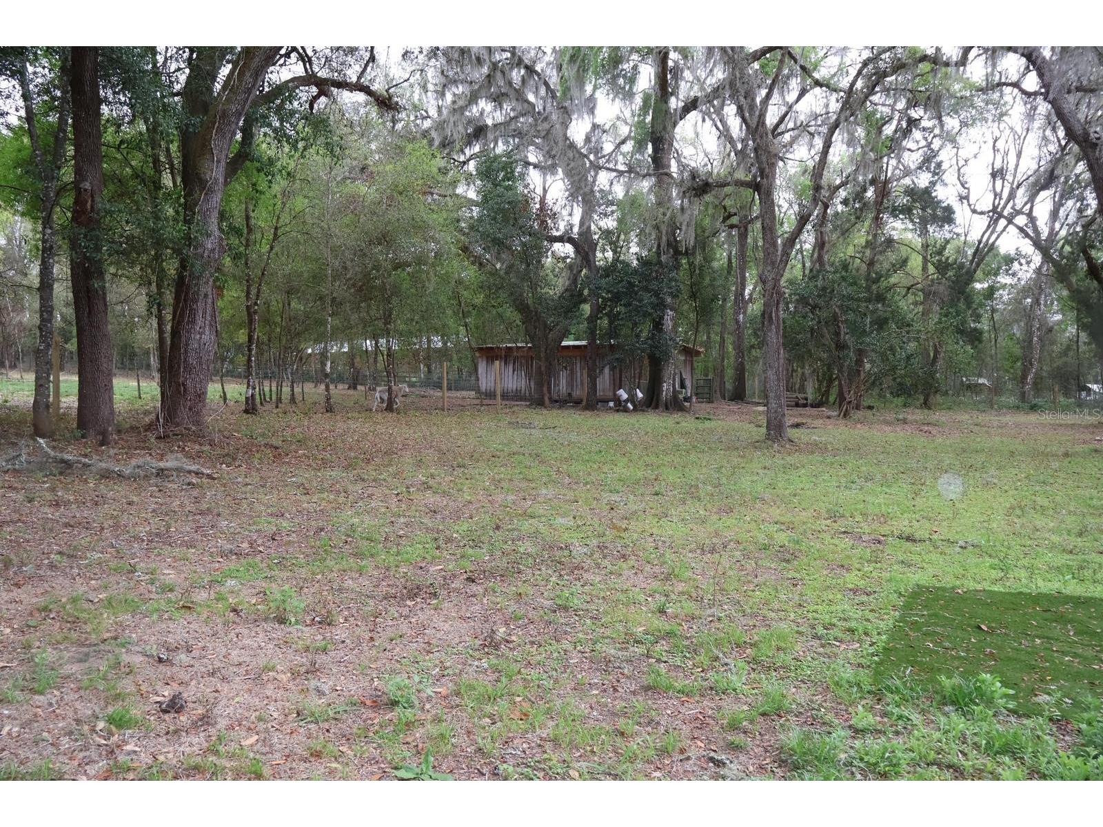 18240 Mount Olive Drive Dade City FL 33523 S5145767 image17