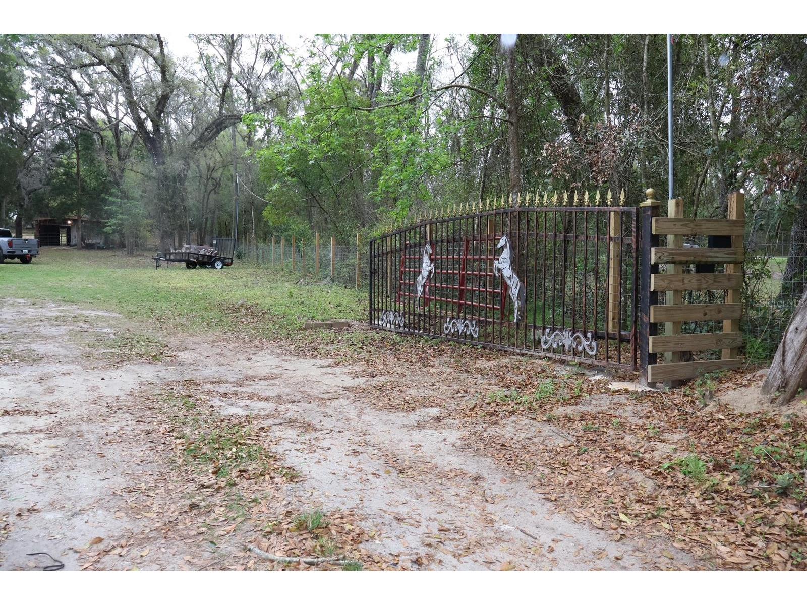 18240 Mount Olive Drive Dade City FL 33523 S5145767 image2