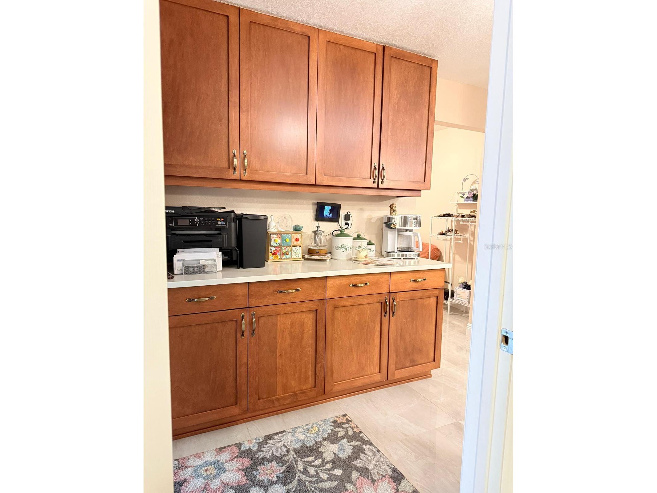 18240 Mount Olive Drive Dade City FL 33523 S5145767 image7
