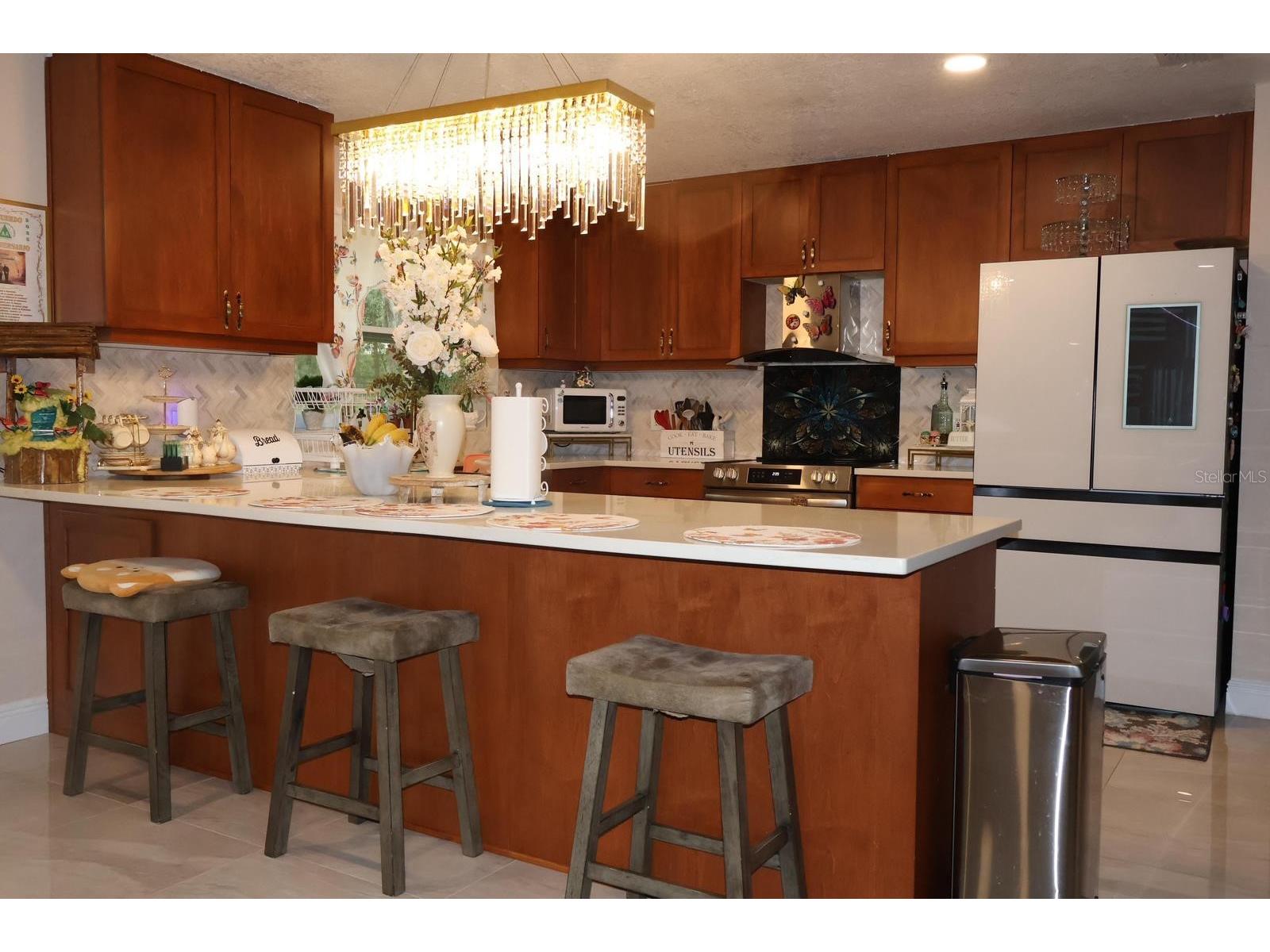 18240 Mount Olive Drive Dade City FL 33523 S5145767 image8