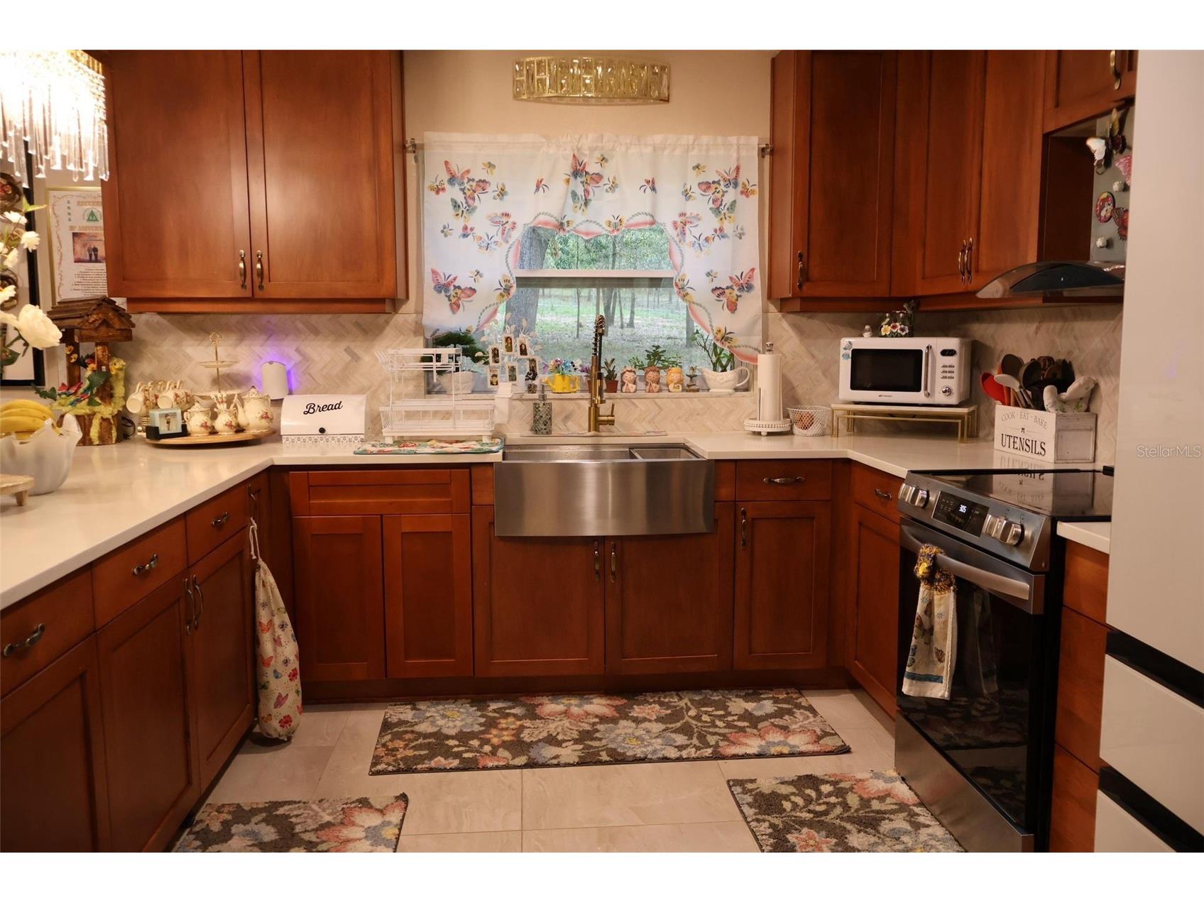 18240 Mount Olive Drive Dade City FL 33523 S5145767 image9