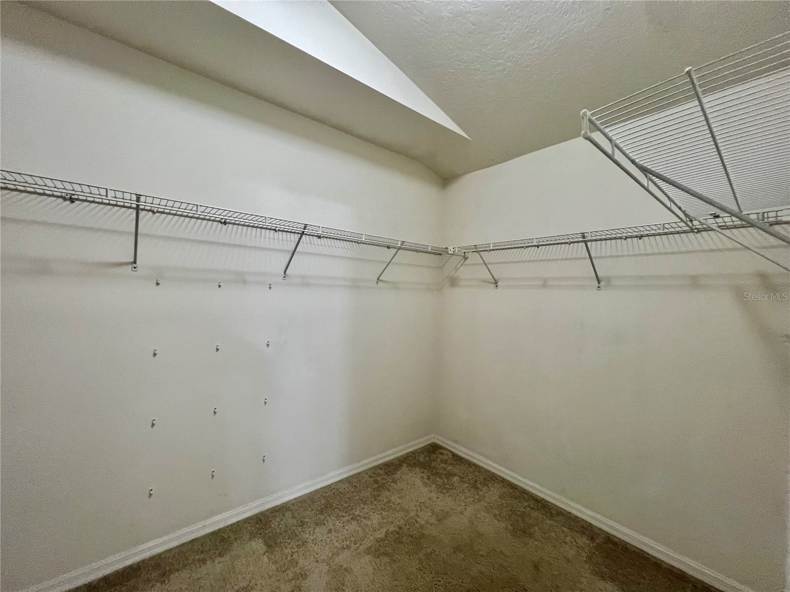 18241 Collridge Drive Tampa FL 33647 TB8512328 image27