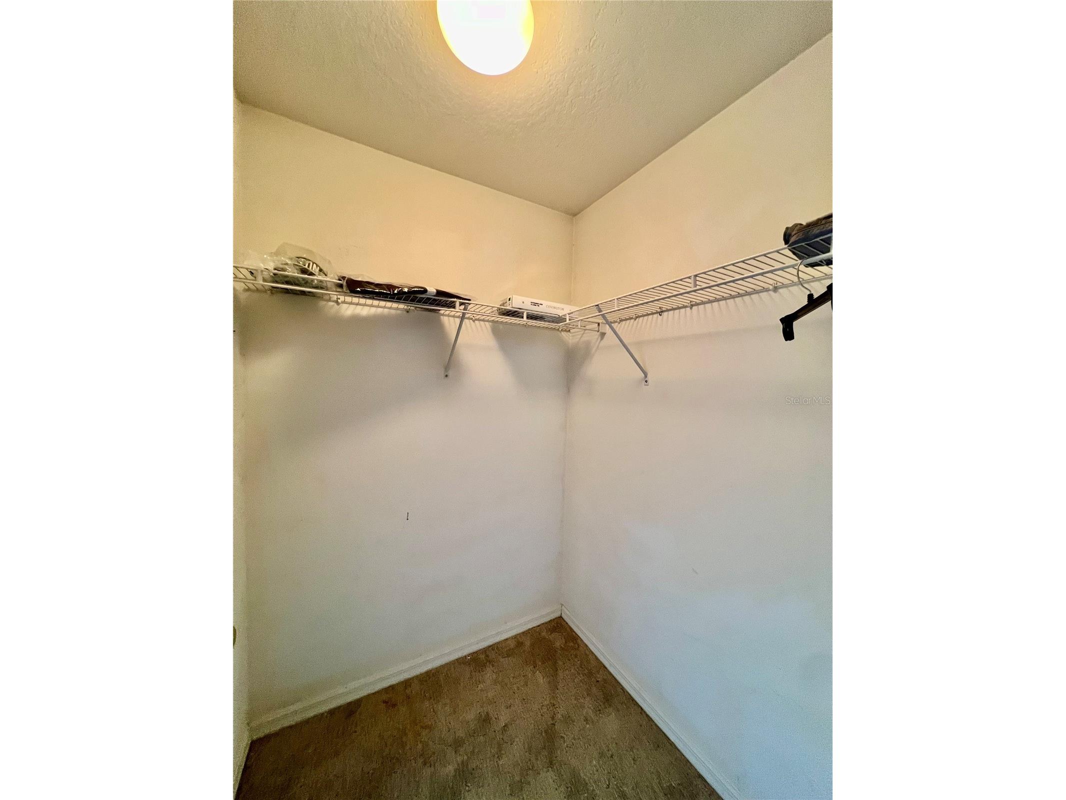 18241 Collridge Drive Tampa FL 33647 TB8512328 image30