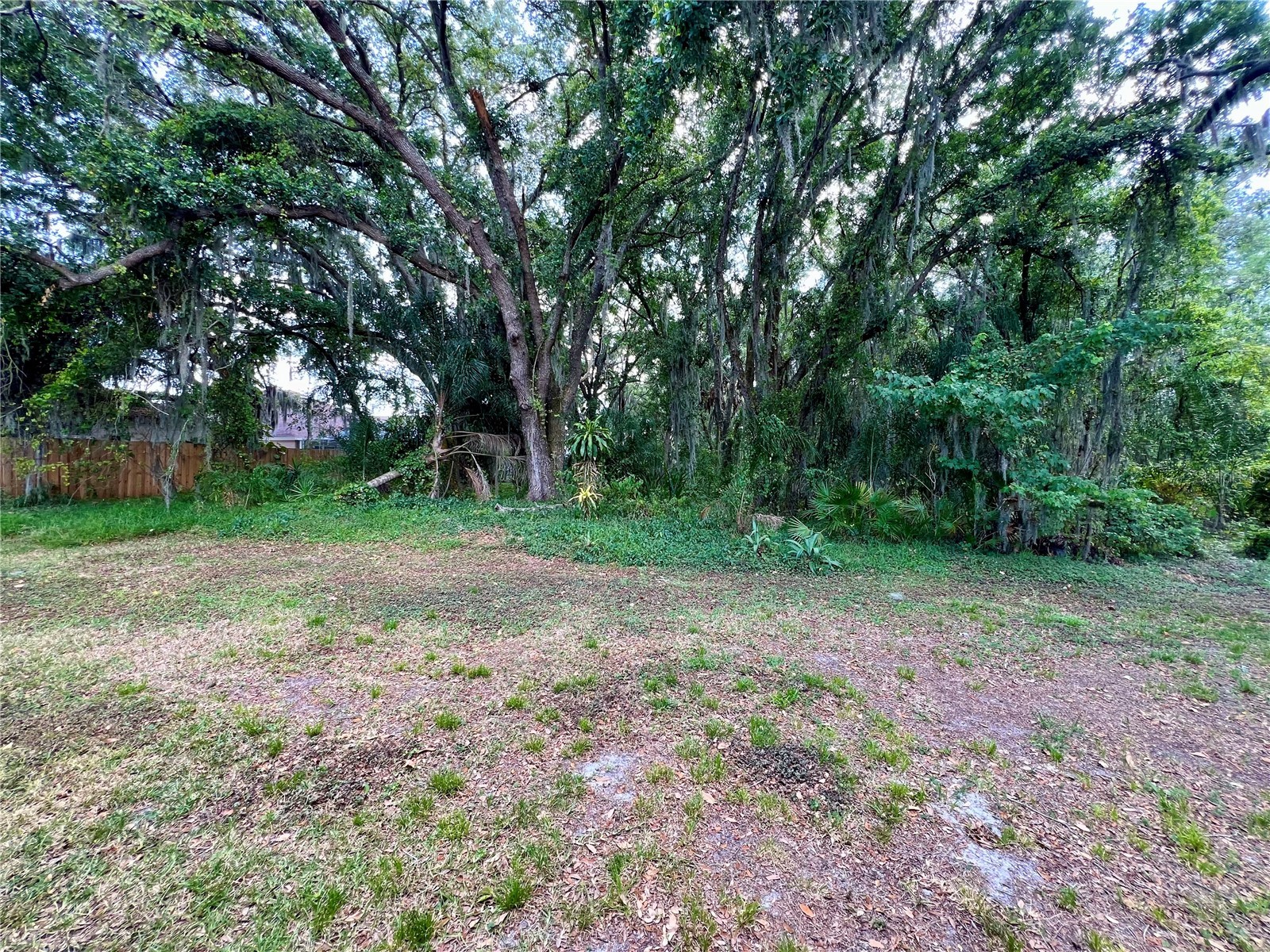 18241 Collridge Drive Tampa FL 33647 TB8512328 image41