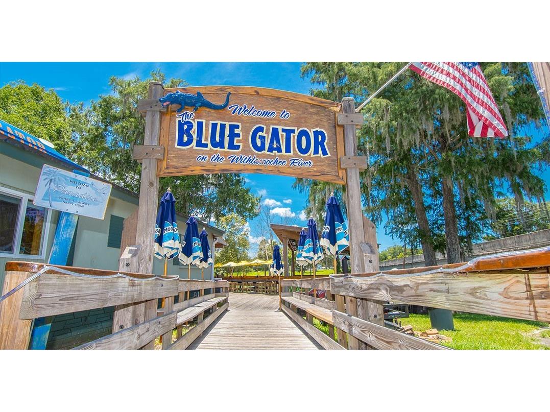 18241 SW 65th Loop Dunnellon FL 34432 O6342424 image47