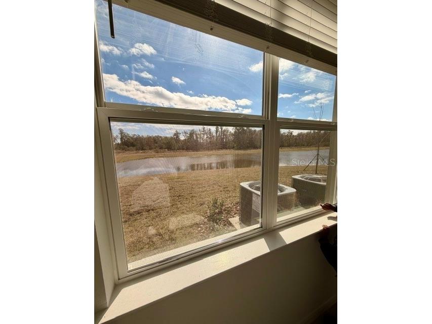 18242 Pleasantview Boulevard Land O Lakes FL 34638 TB8475531 image11