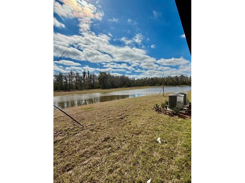 18242 Pleasantview Boulevard Land O Lakes FL 34638 TB8475531 image4