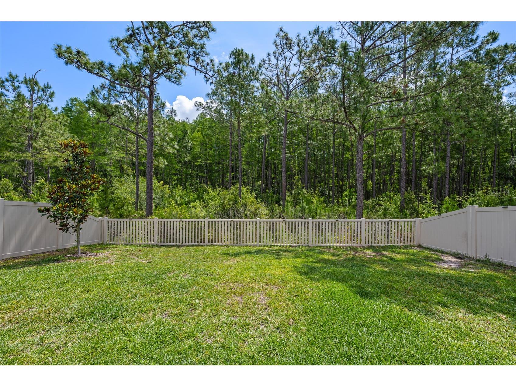 18242 Serene Lake Loop Lutz FL 33548 TB8508757 image34
