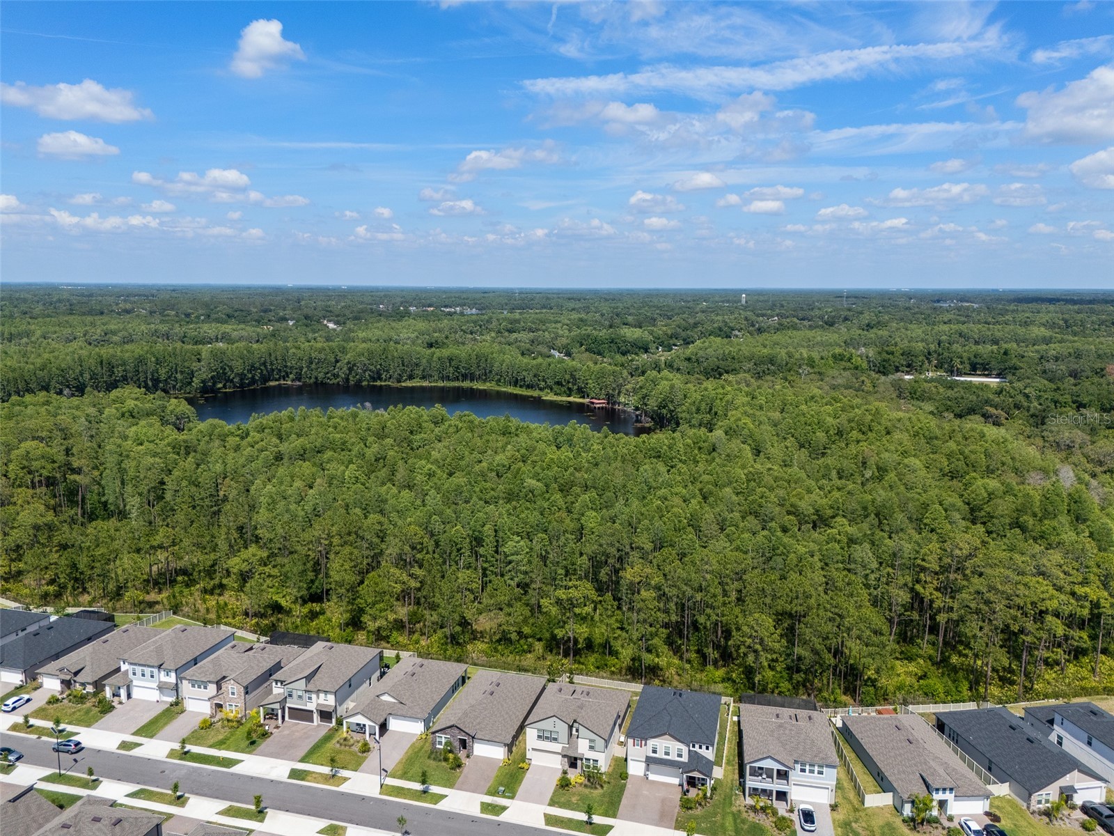 18242 Serene Lake Loop Lutz FL 33548 TB8508757 image36